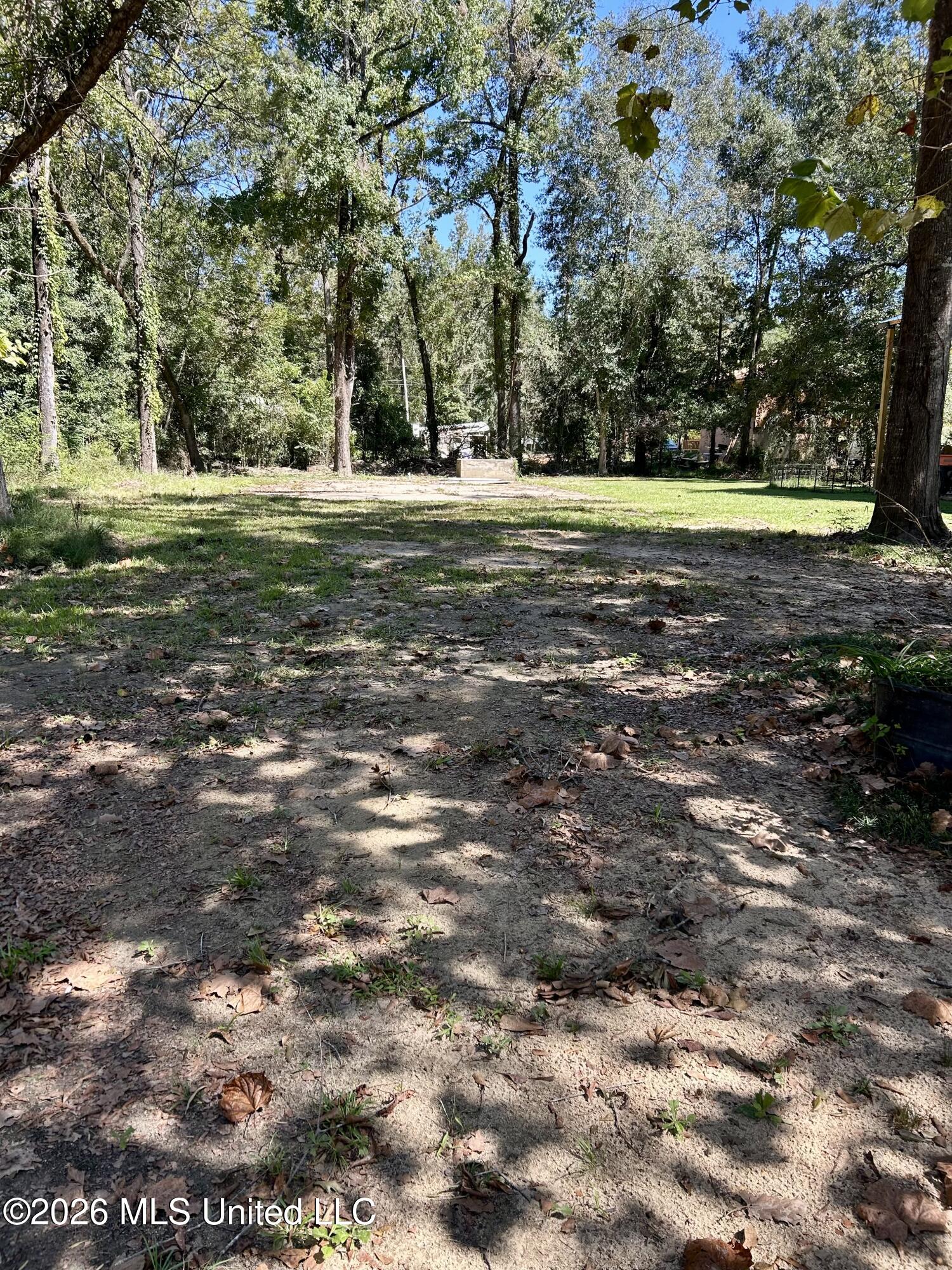 117 Plum Bluff Drive Property Photo 11