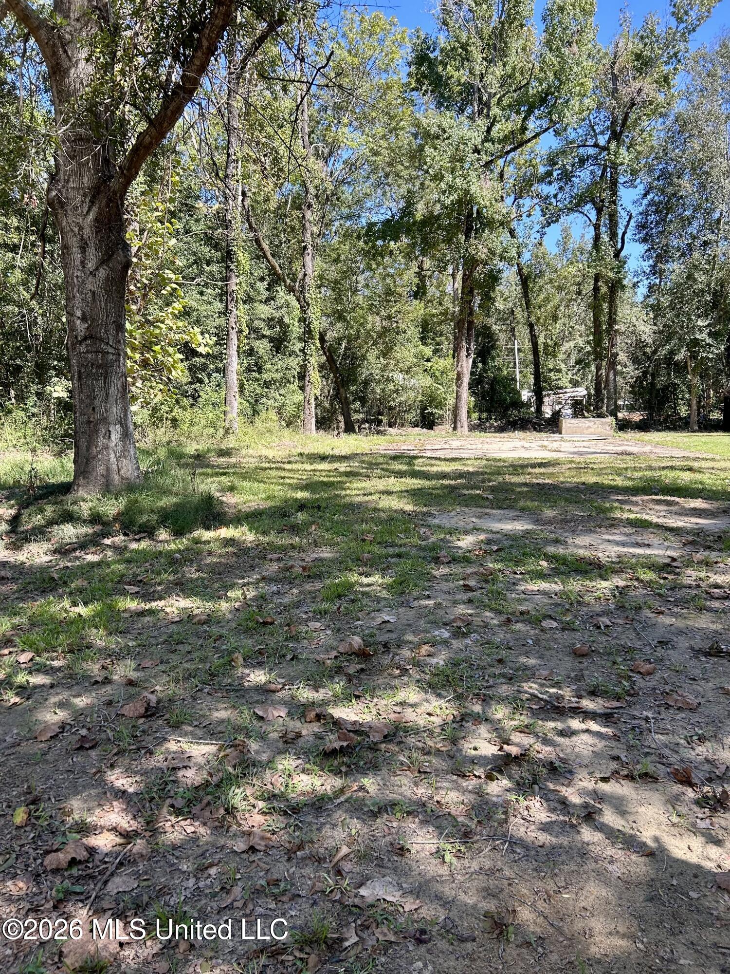 117 Plum Bluff Drive Property Photo 12