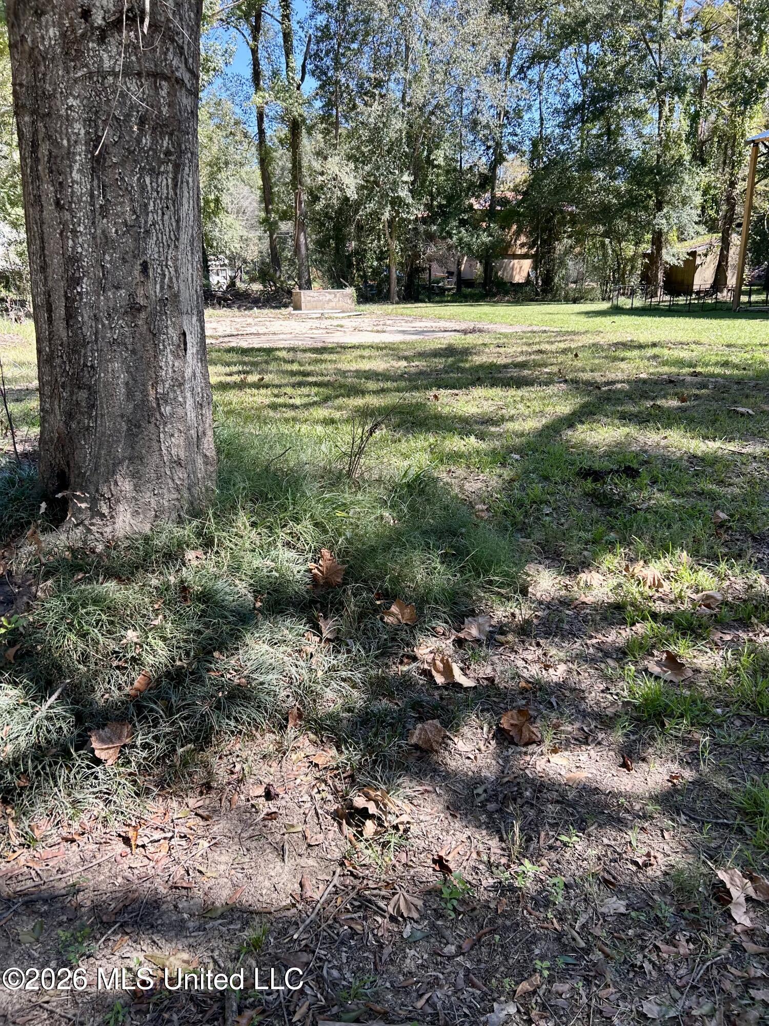 117 Plum Bluff Drive Property Photo 14
