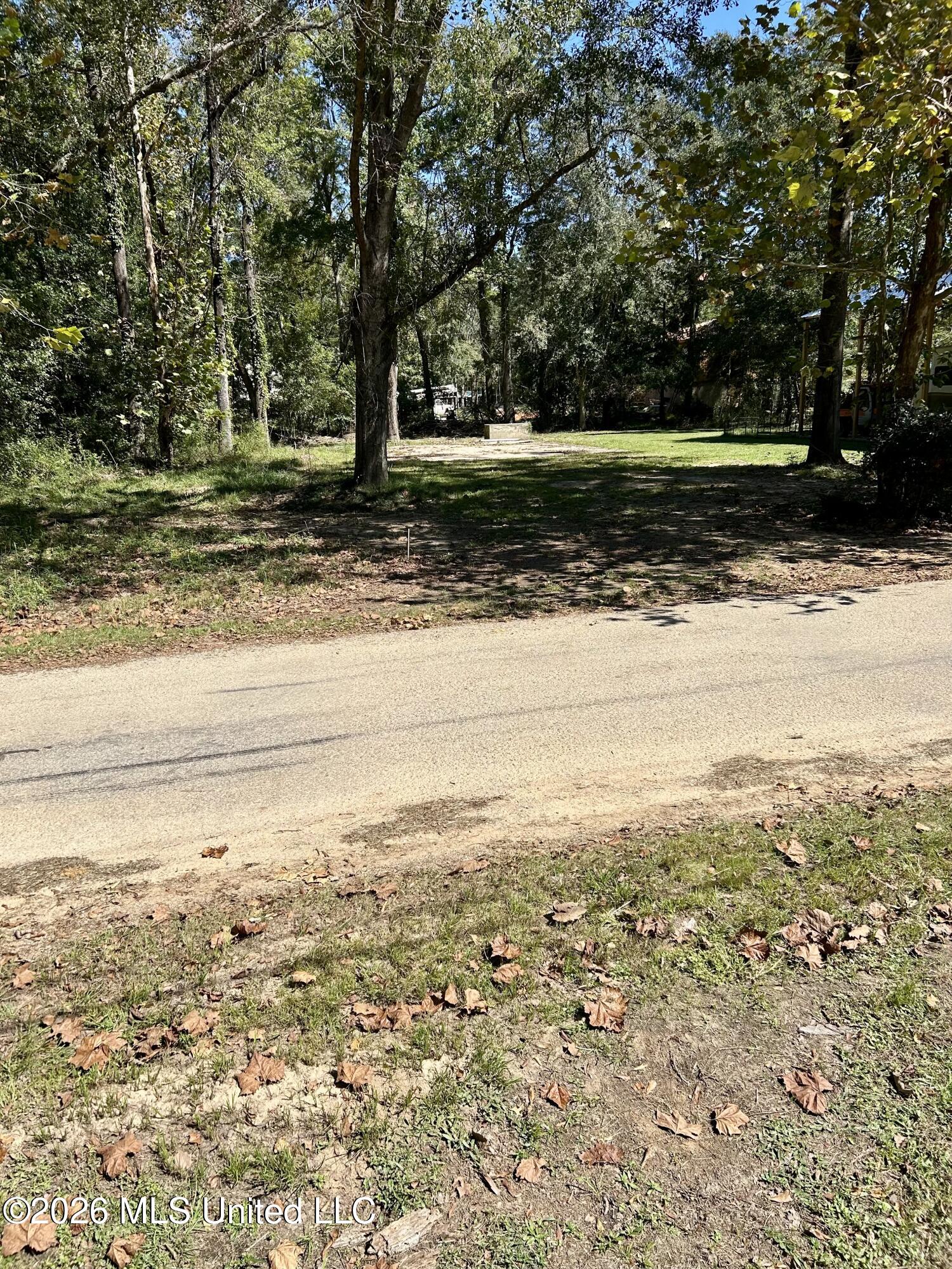 117 Plum Bluff Drive Property Photo 18