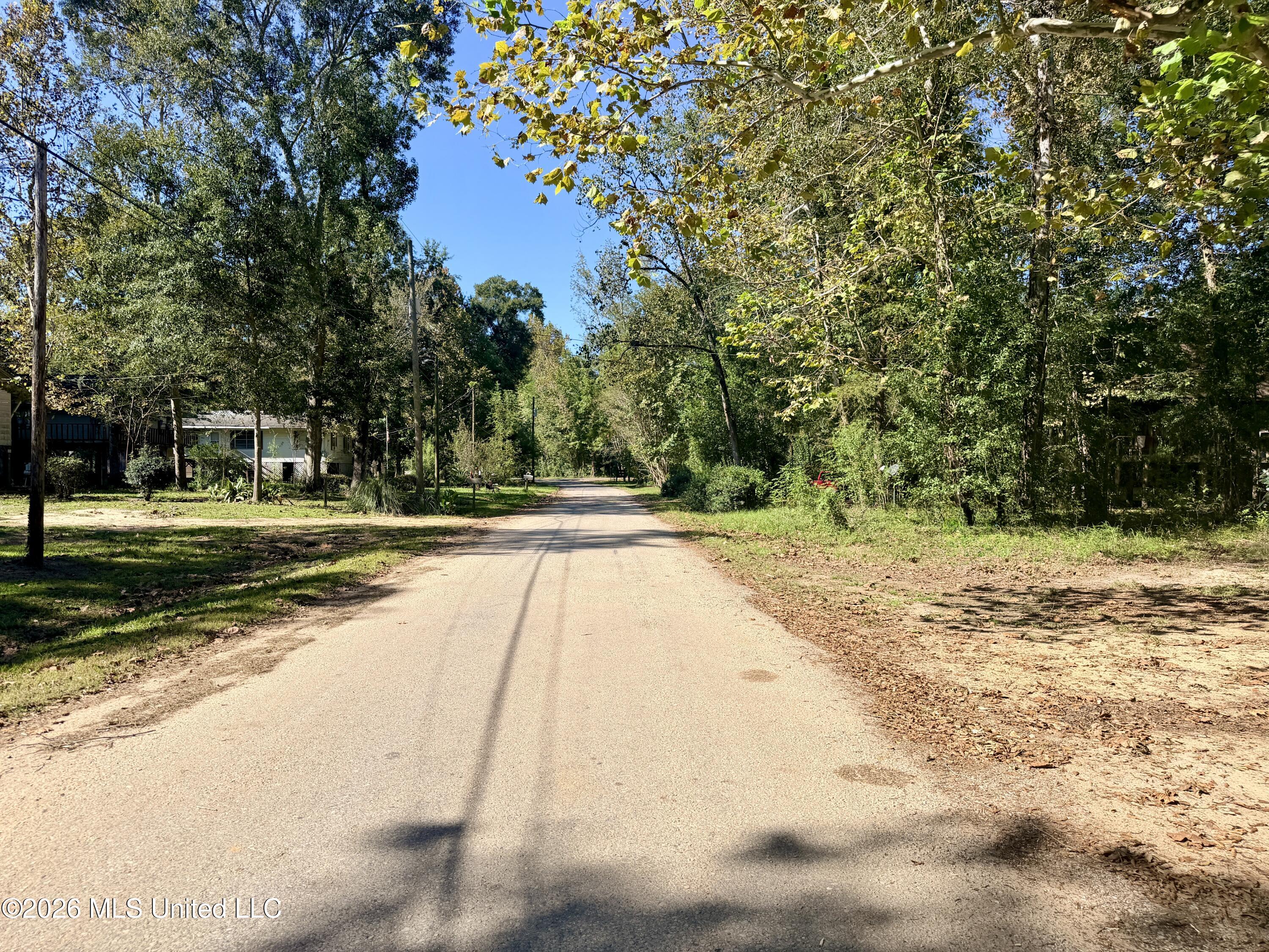117 Plum Bluff Drive Property Photo 20