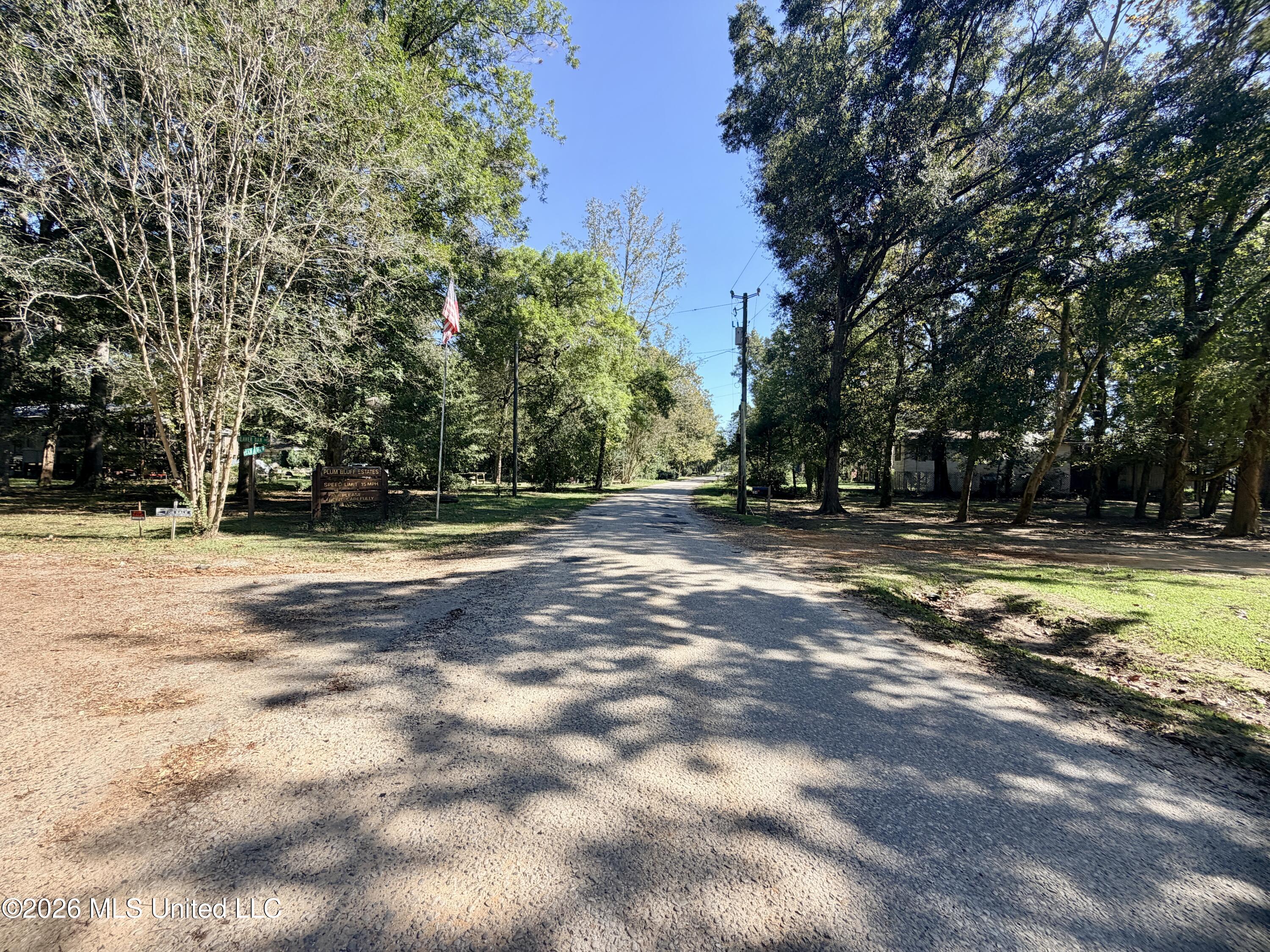 117 Plum Bluff Drive Property Photo 24