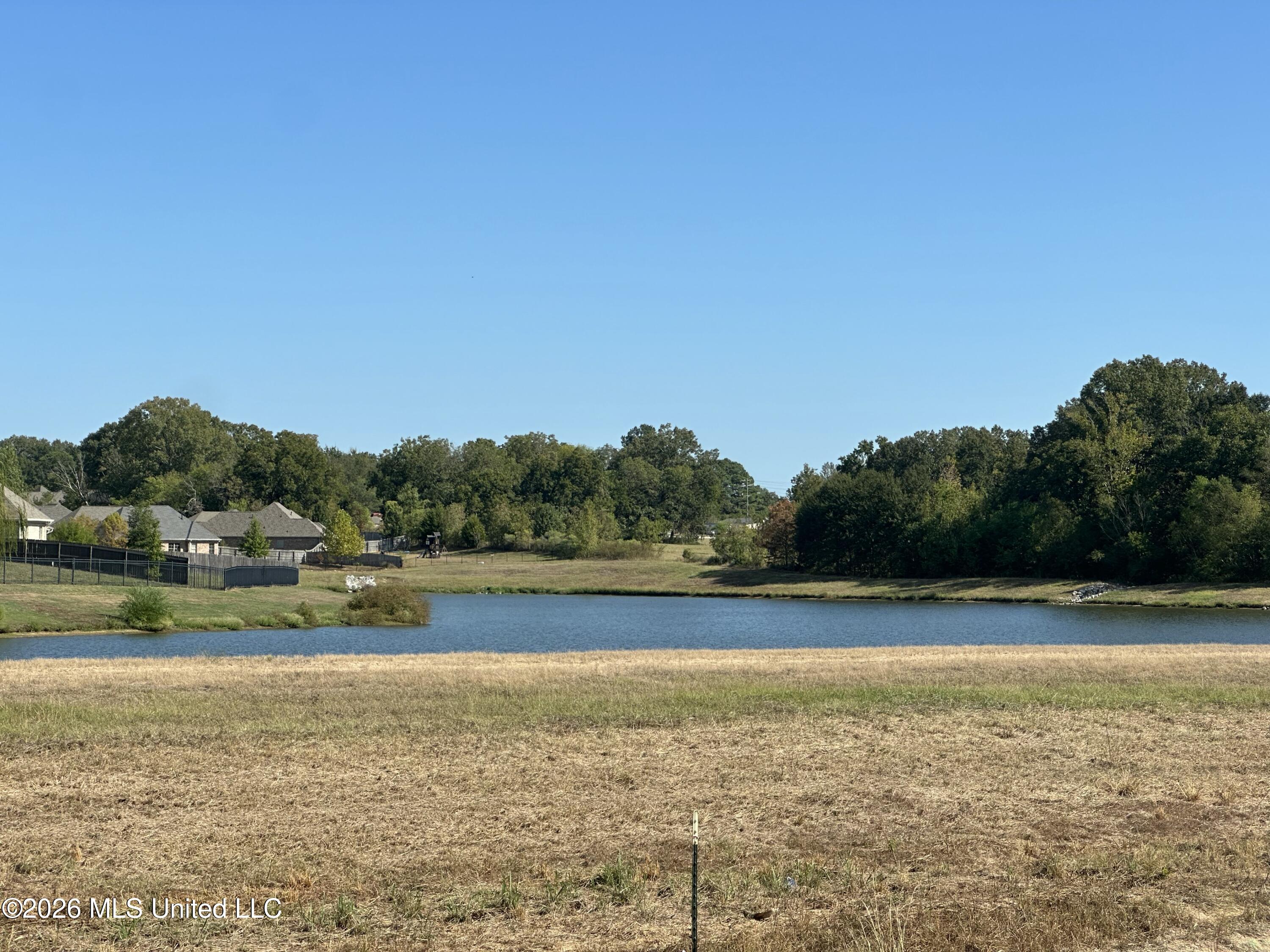 426 Old Maple Cove Property Photo 37
