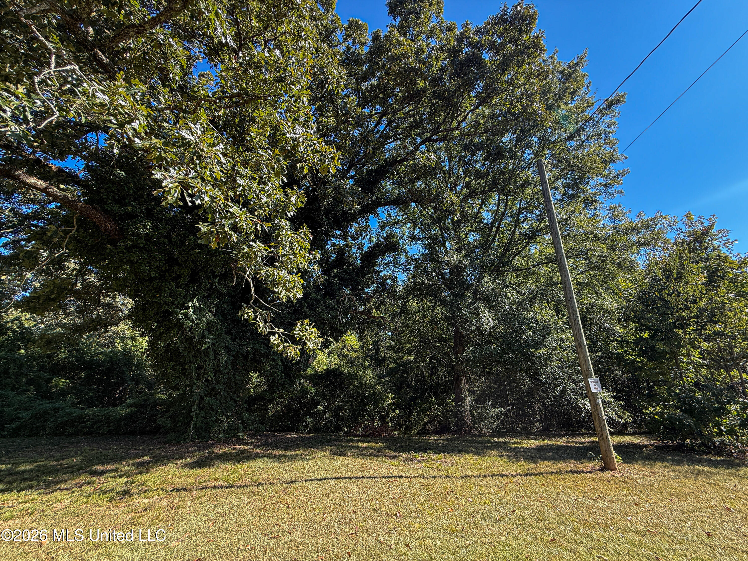 Maben Starkville Road Property Photo 13