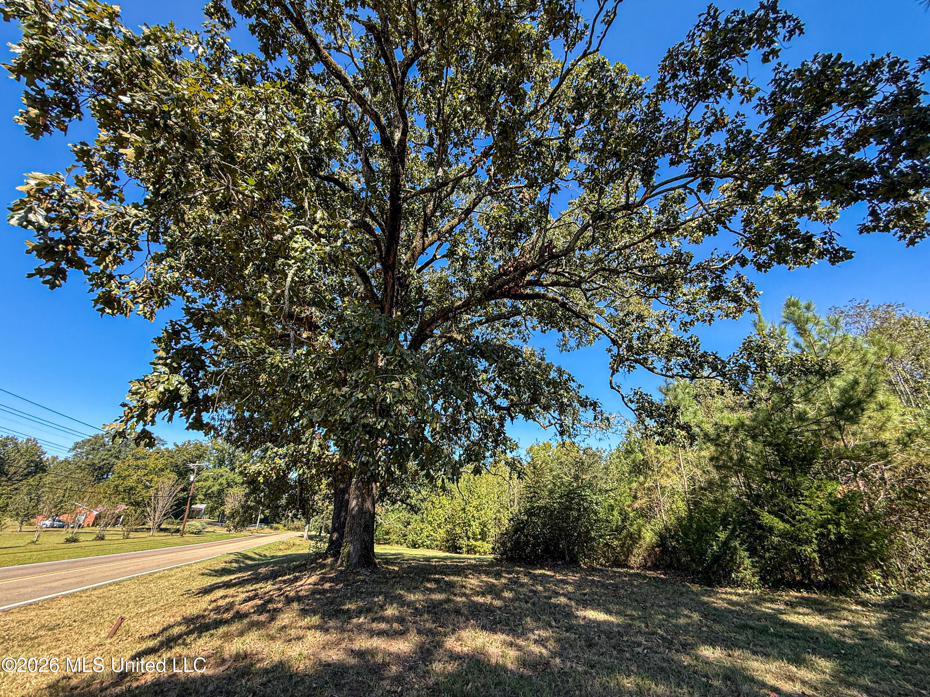 Maben Starkville Road Property Photo 7