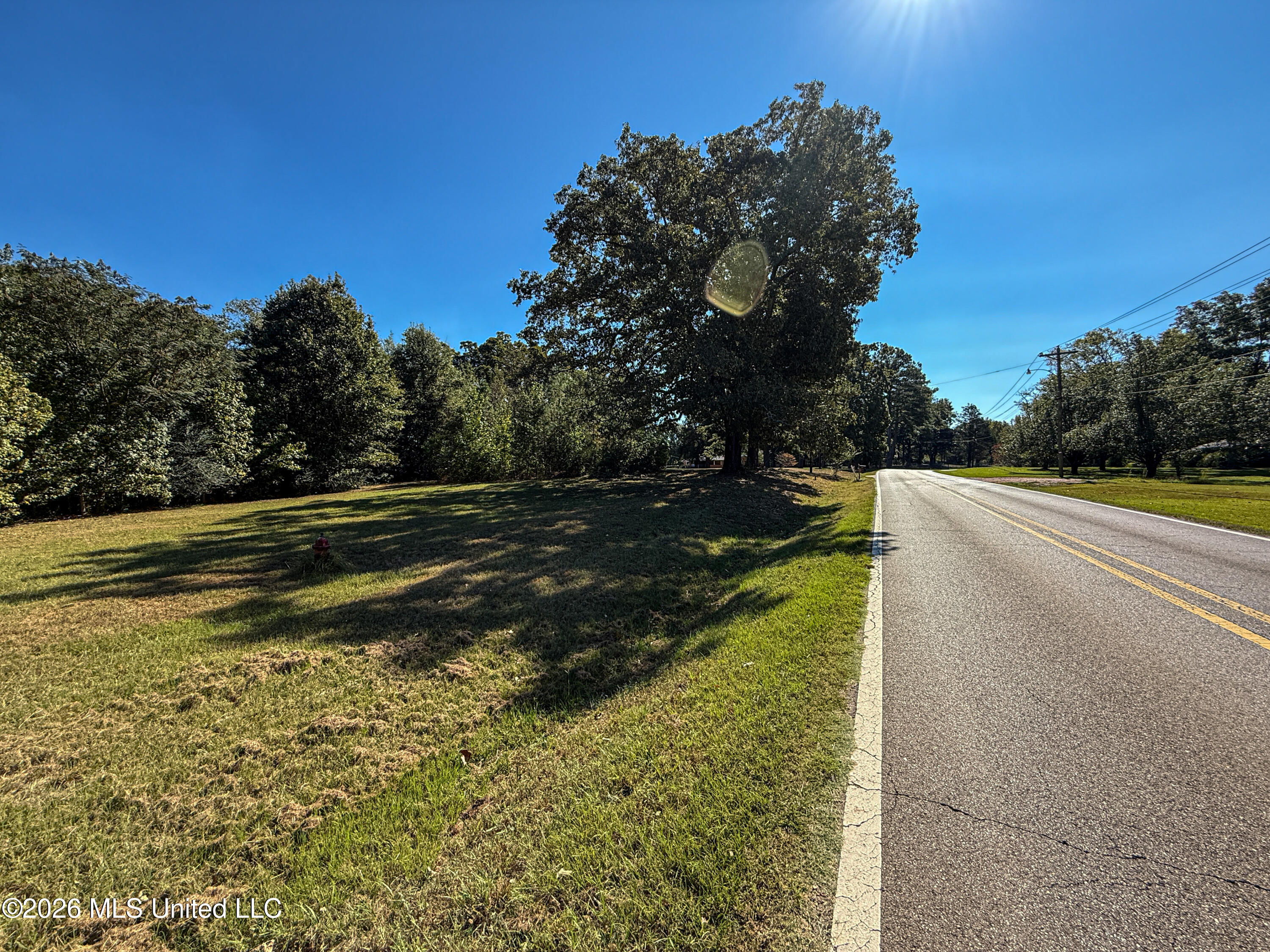 Maben Starkville Road Property Photo 9