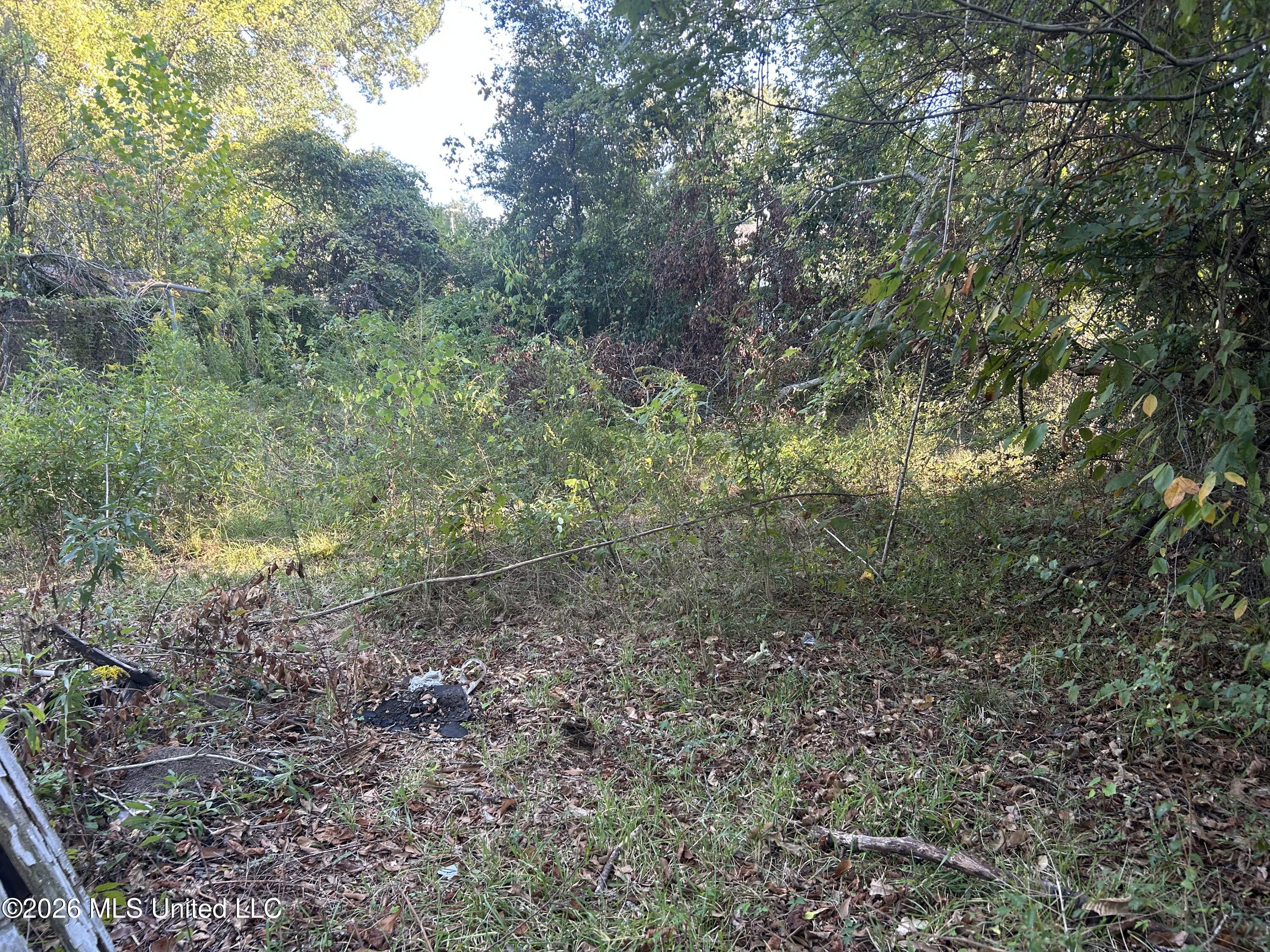 525 Maple Street Property Photo 2