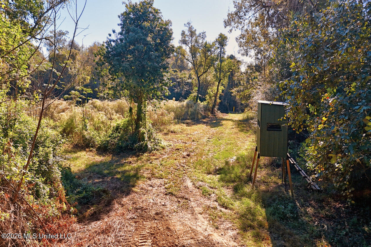 26870 Greenwell Springs Road Property Photo 41