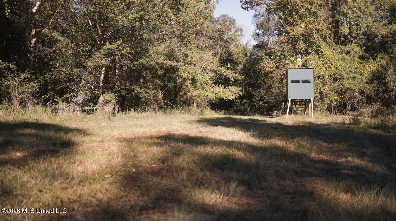26870 Greenwell Springs Road Property Photo 42