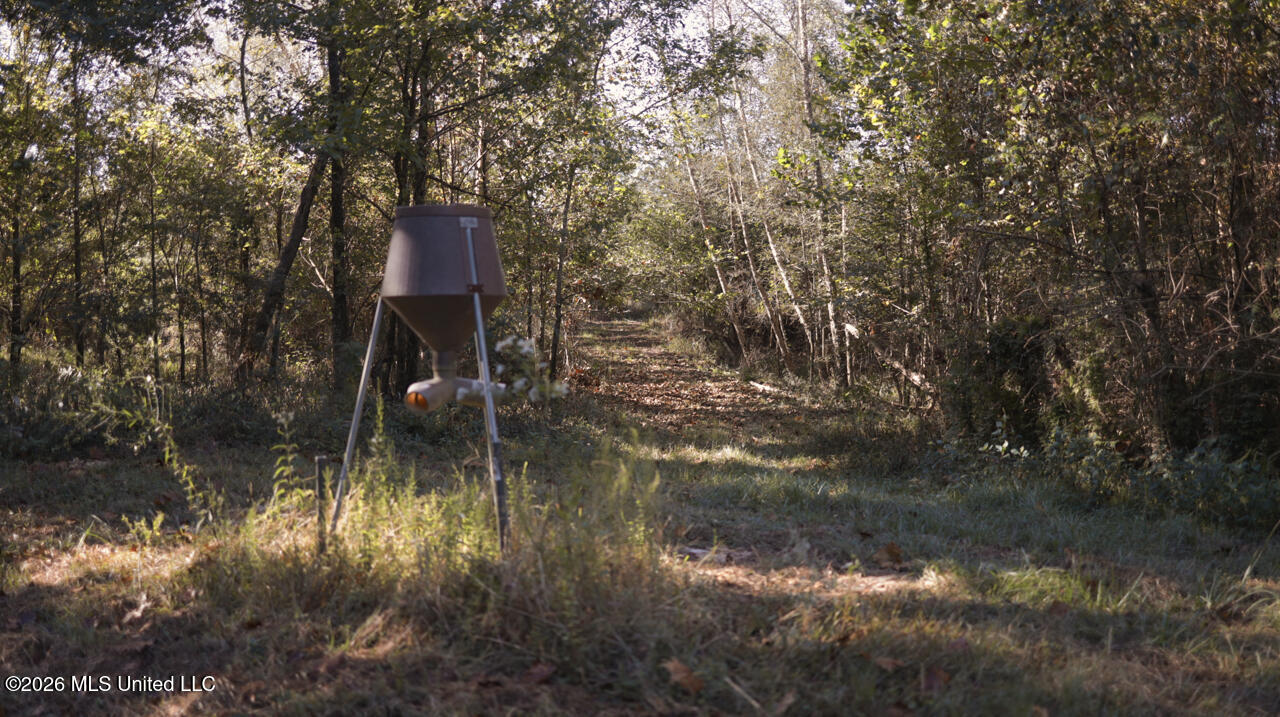 26870 Greenwell Springs Road Property Photo 43