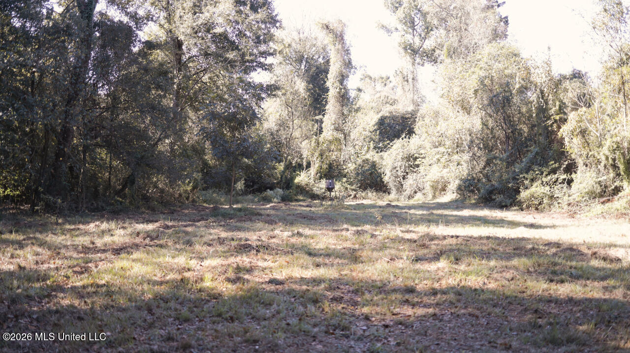 26870 Greenwell Springs Road Property Photo 46