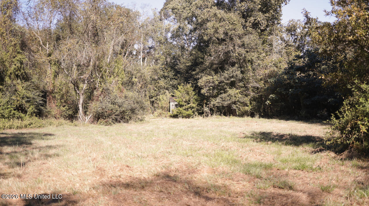 26870 Greenwell Springs Road Property Photo 49