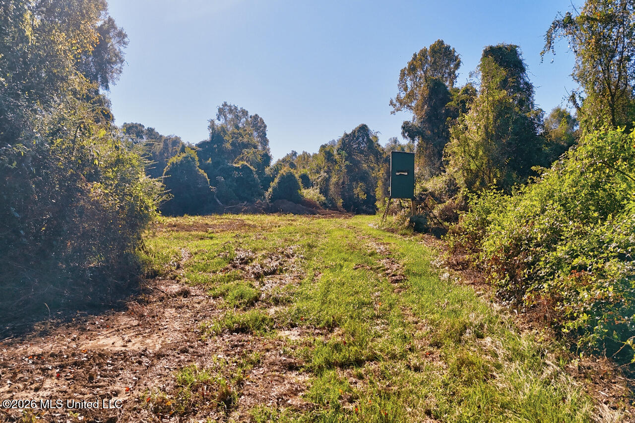 26870 Greenwell Springs Road Property Photo 56