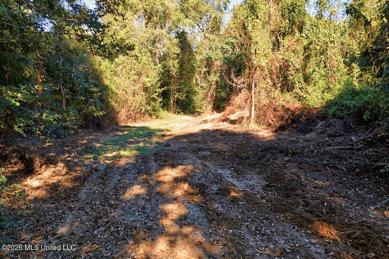 26870 Greenwell Springs Road Property Photo 58