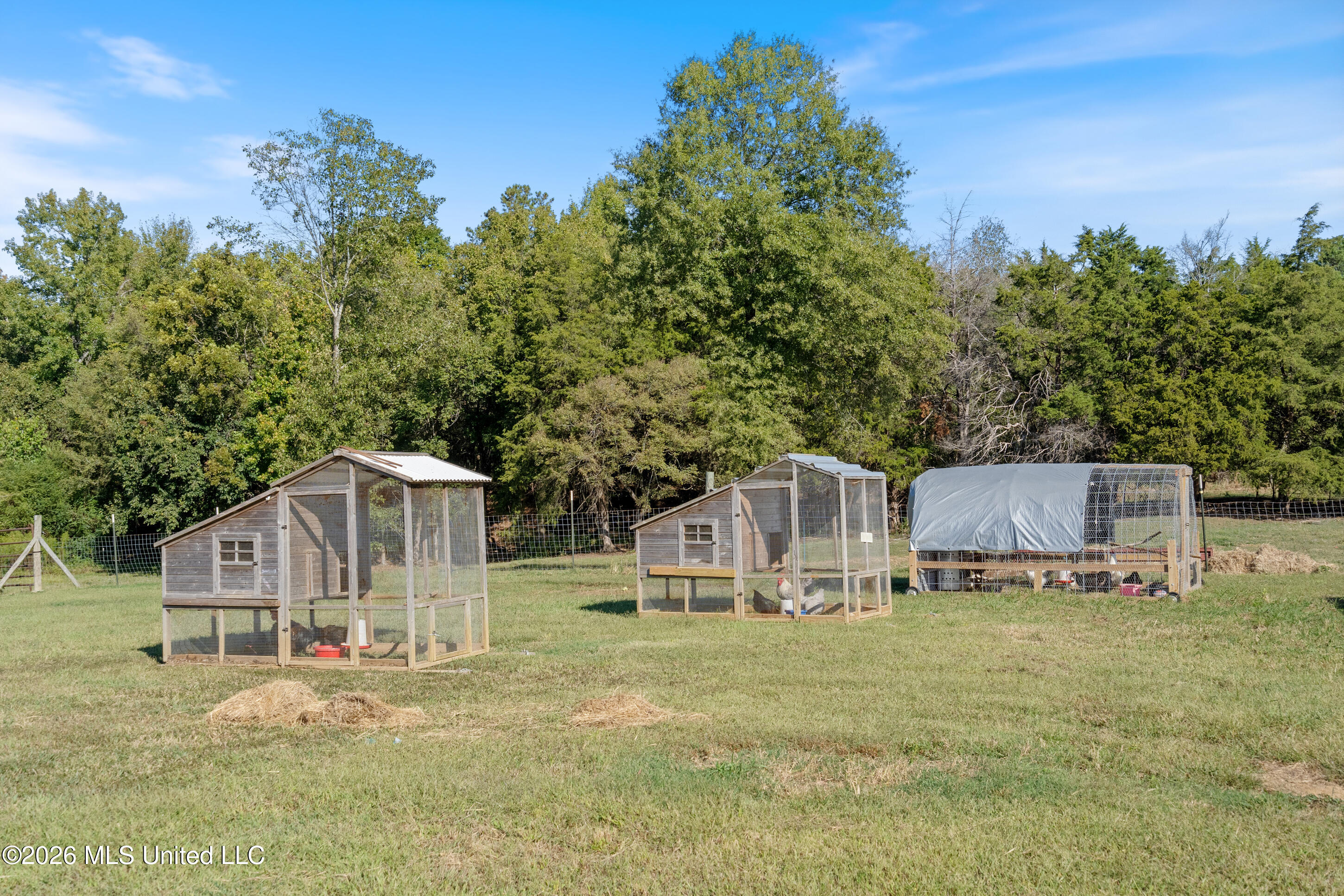 111 Rowell Road Property Photo 24