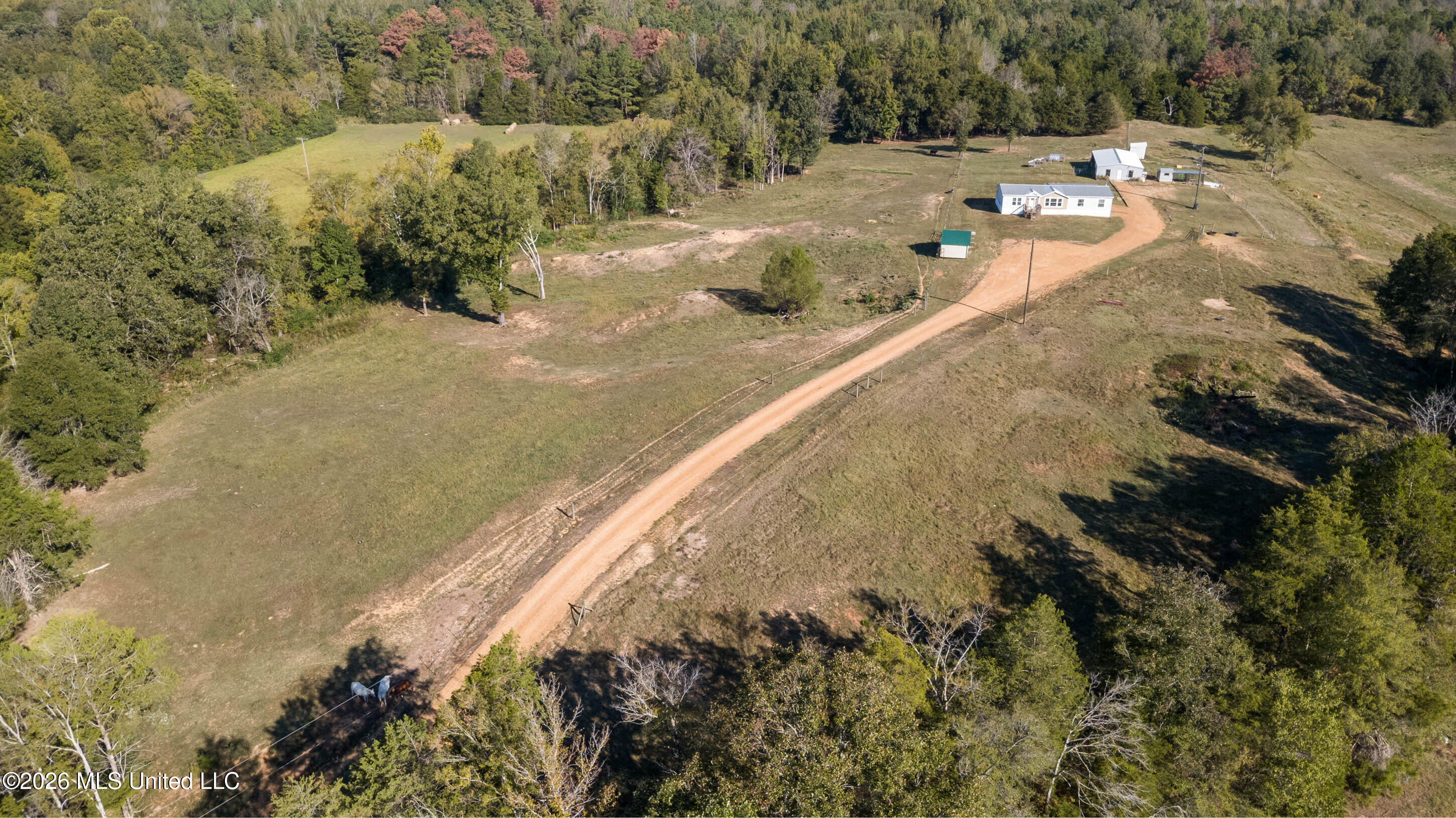 111 Rowell Road Property Photo 31