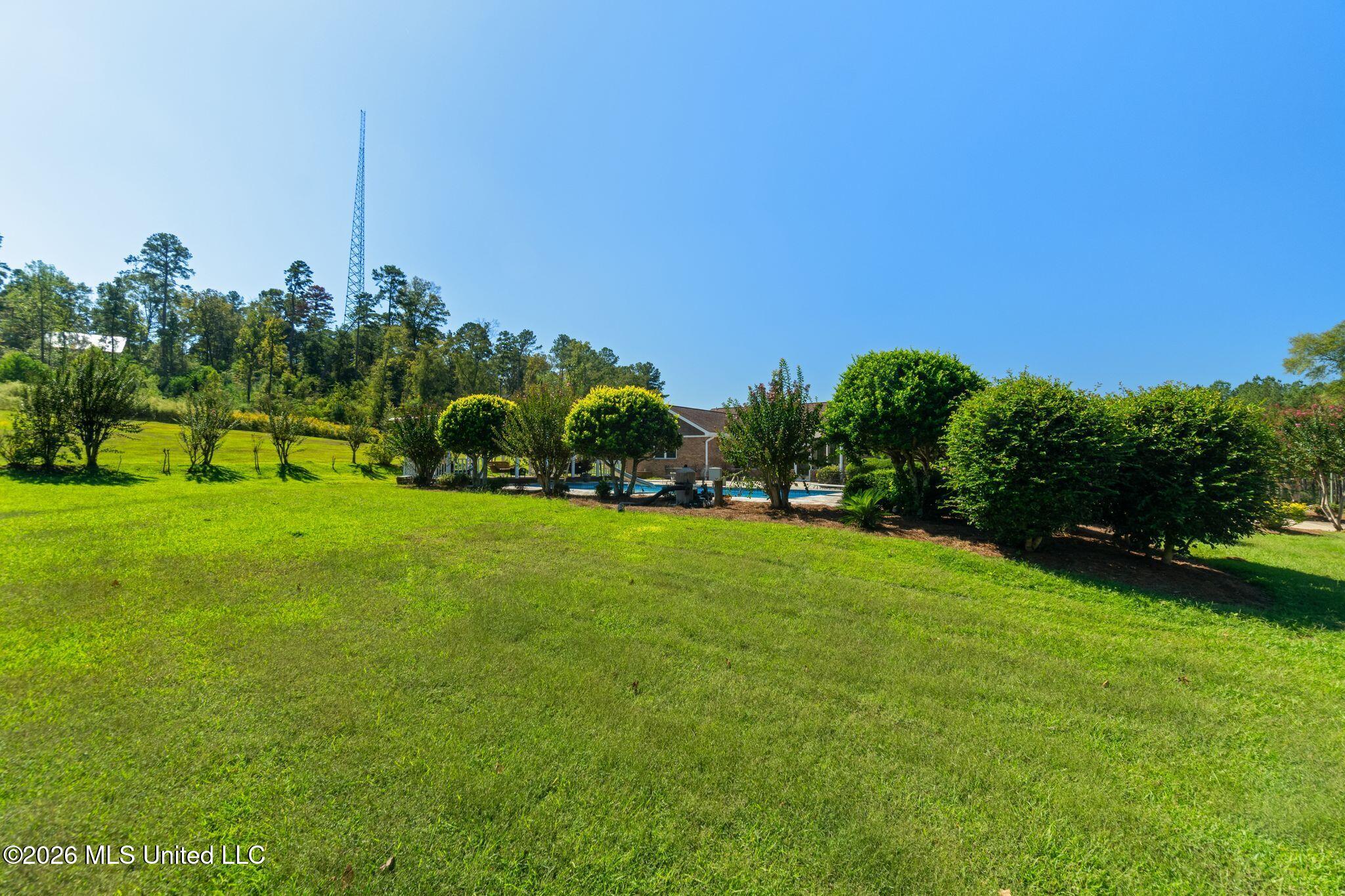 46 Big View Drive Property Photo 51