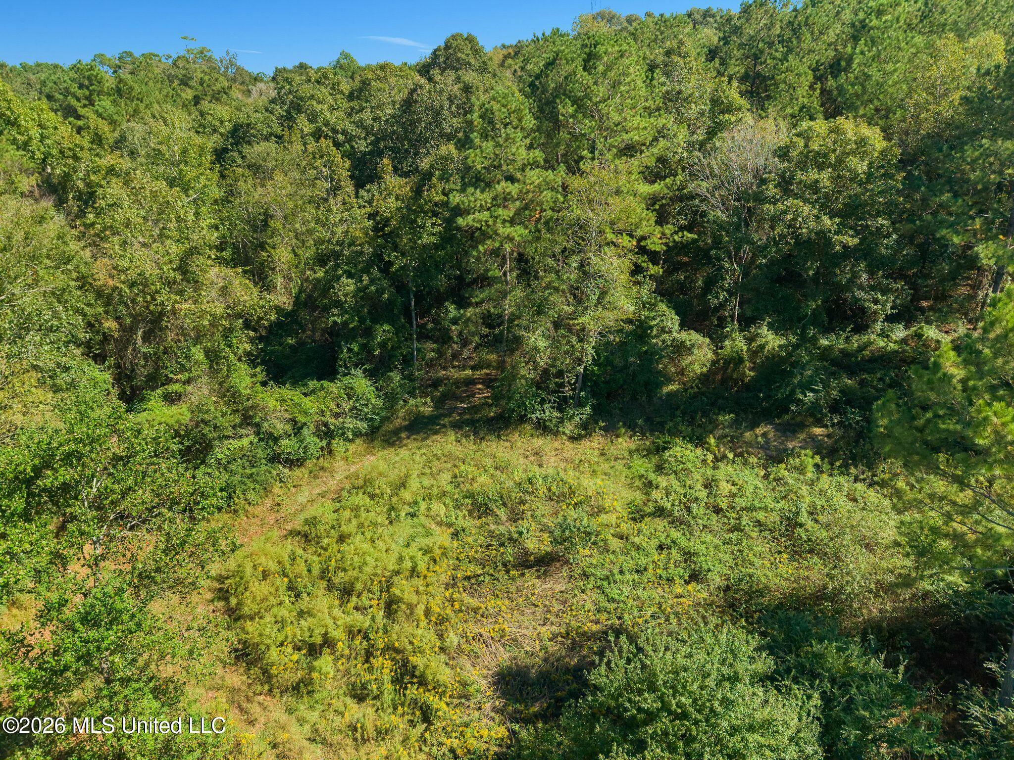 46 Big View Drive Property Photo 87