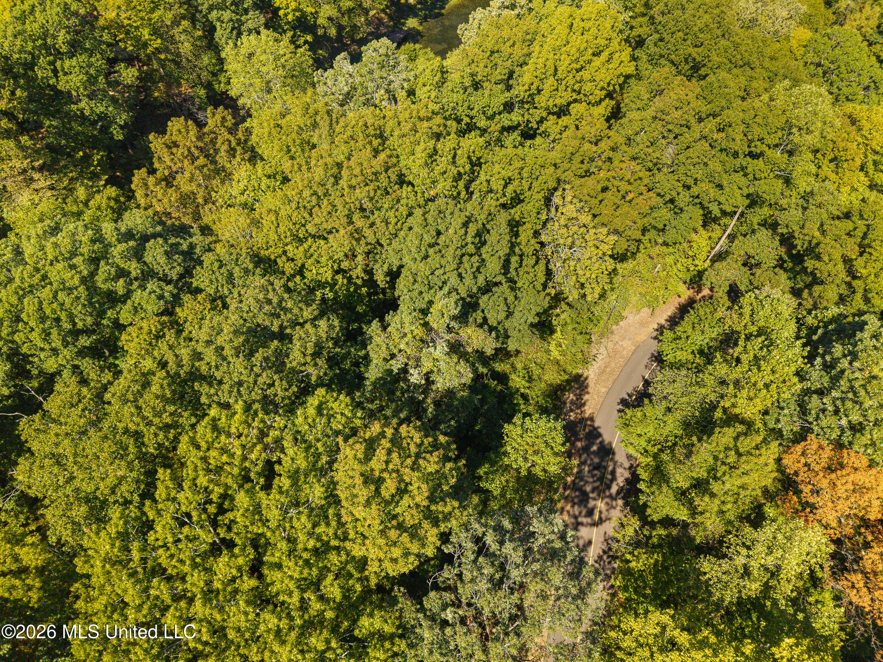 2029 Mattaha Drive Property Photo 4