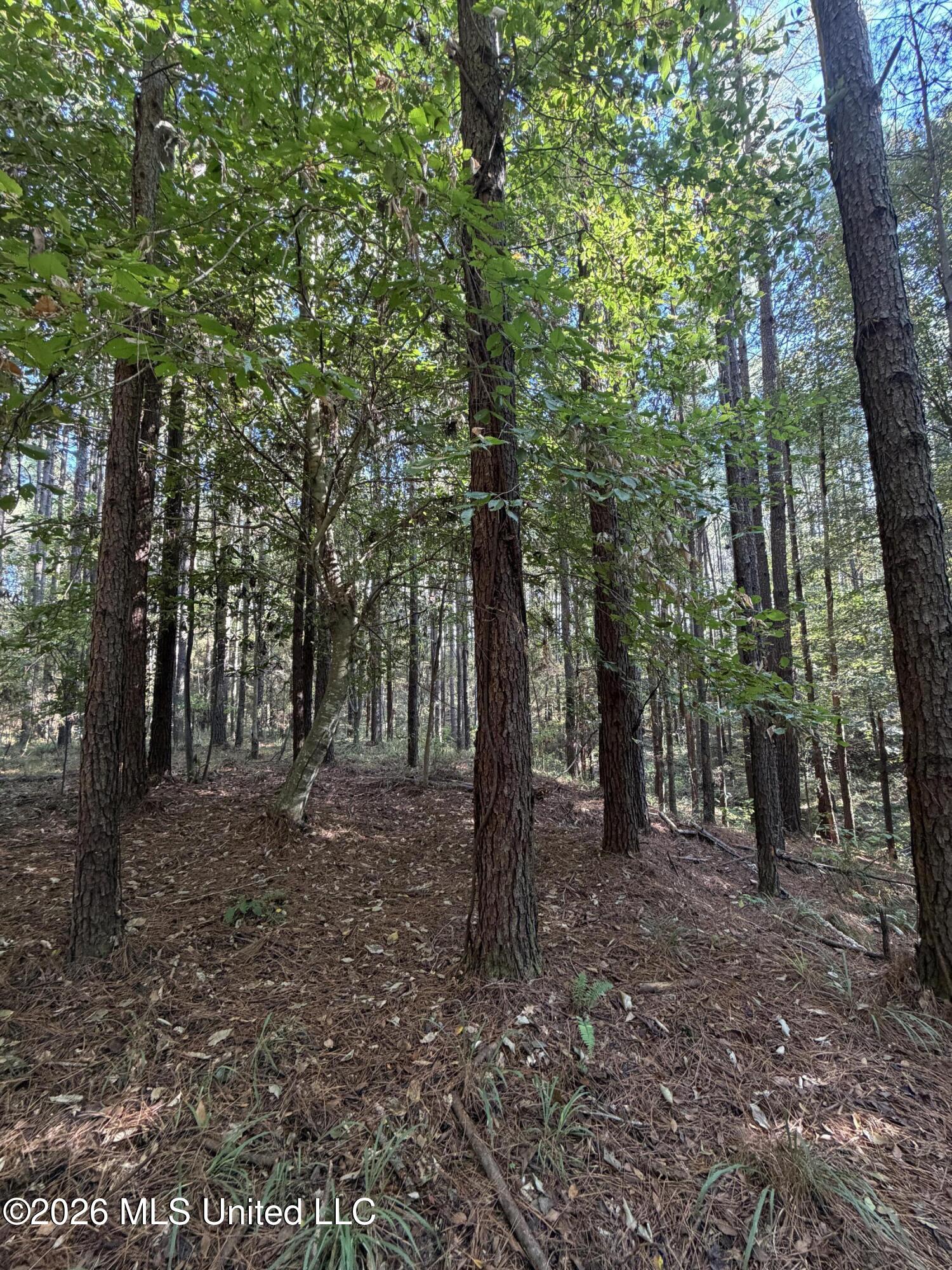 Coons Mill Road Property Photo 3