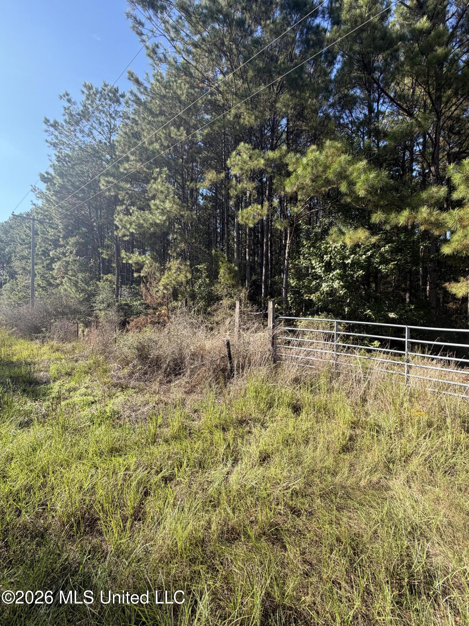 Coons Mill Road Property Photo 4