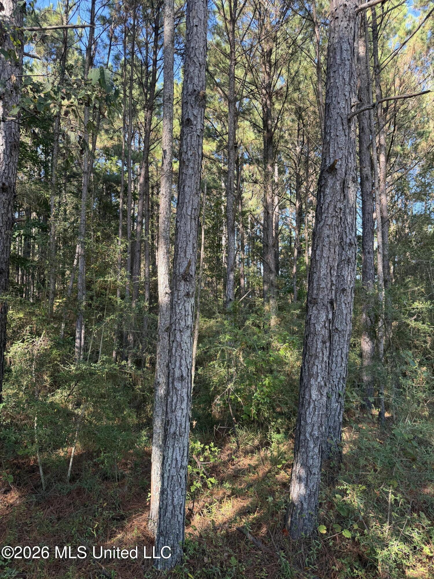Coons Mill Road Property Photo 6