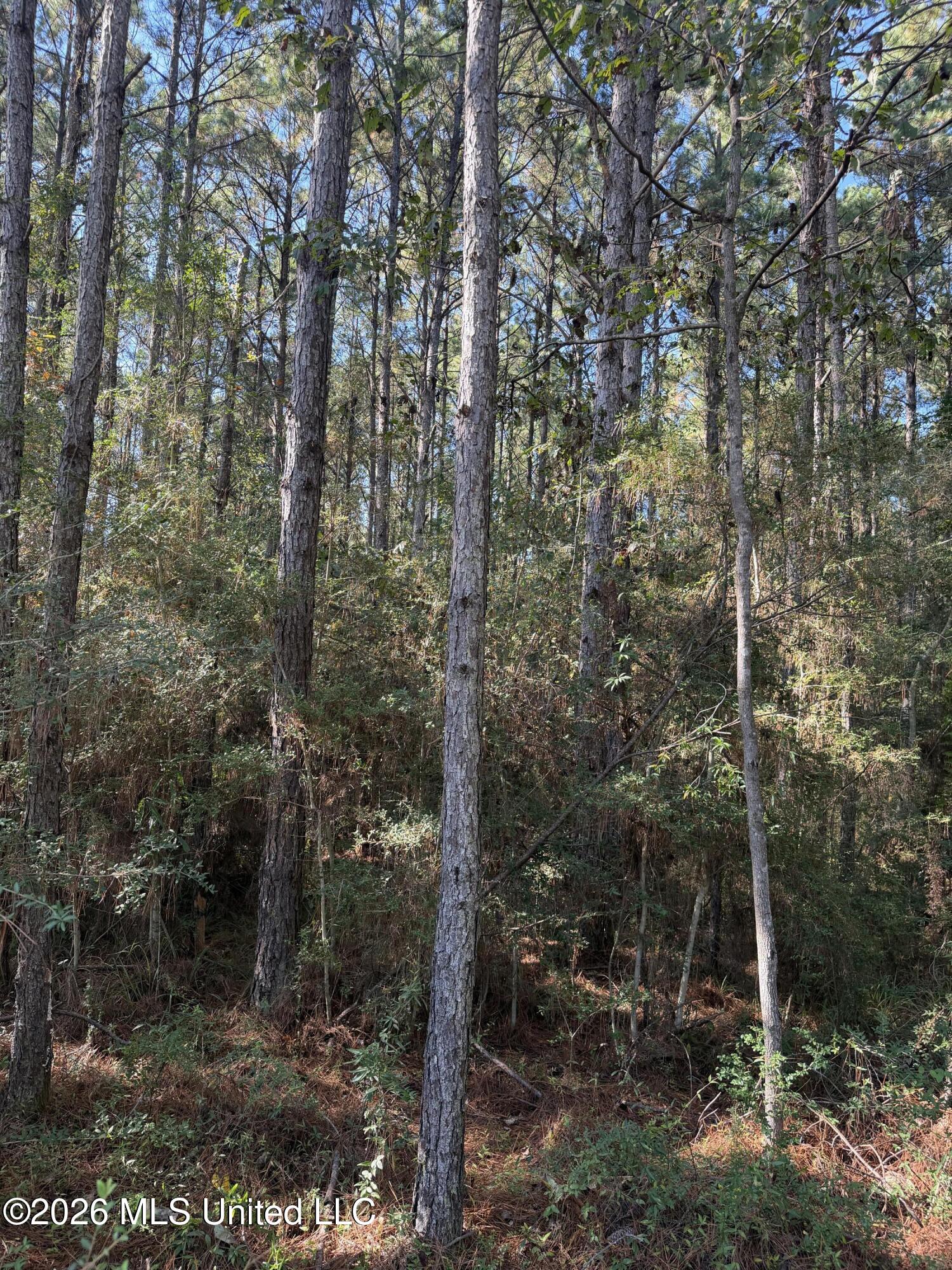 Coons Mill Road Property Photo 8