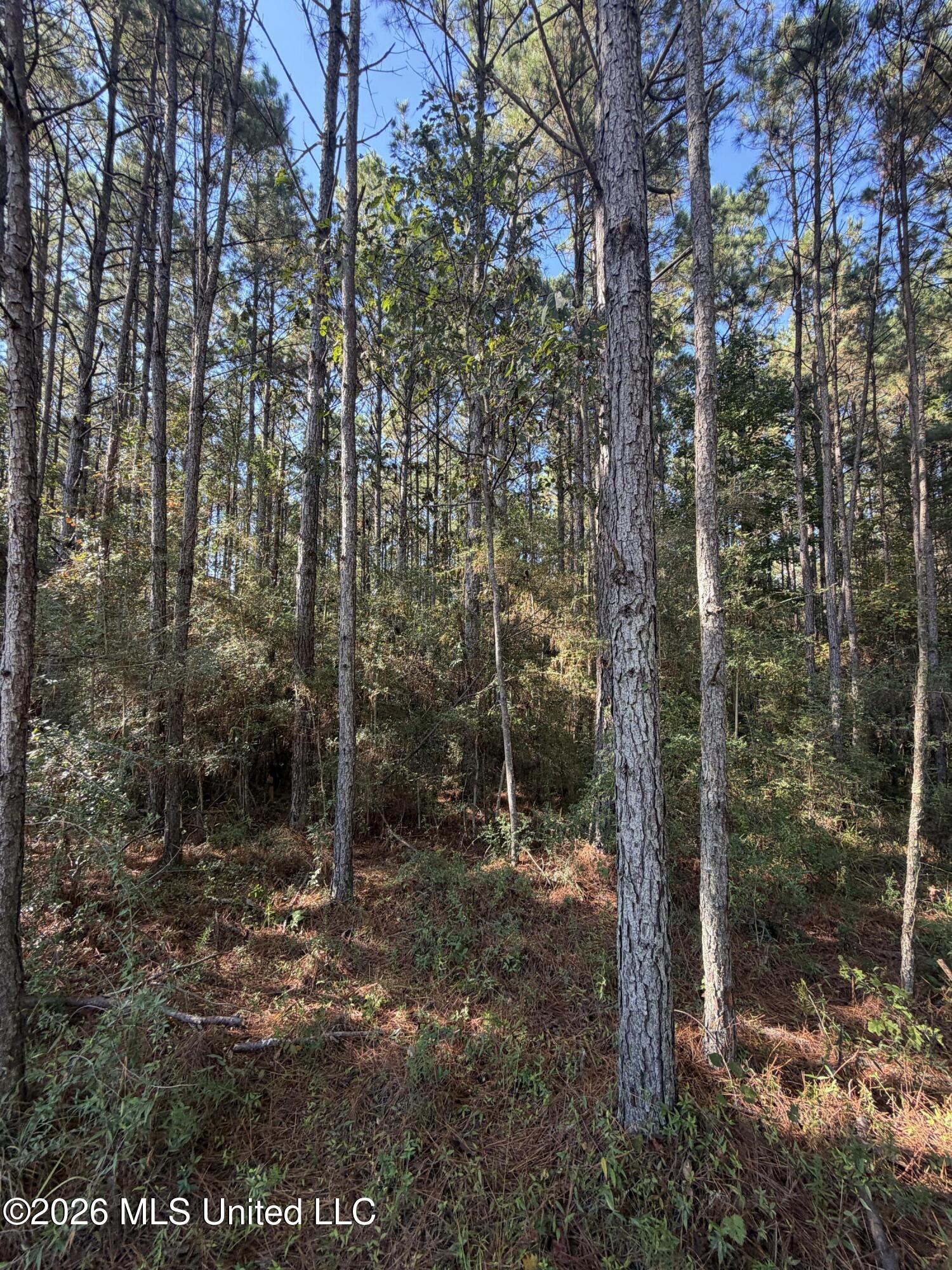 Coons Mill Road Property Photo 9