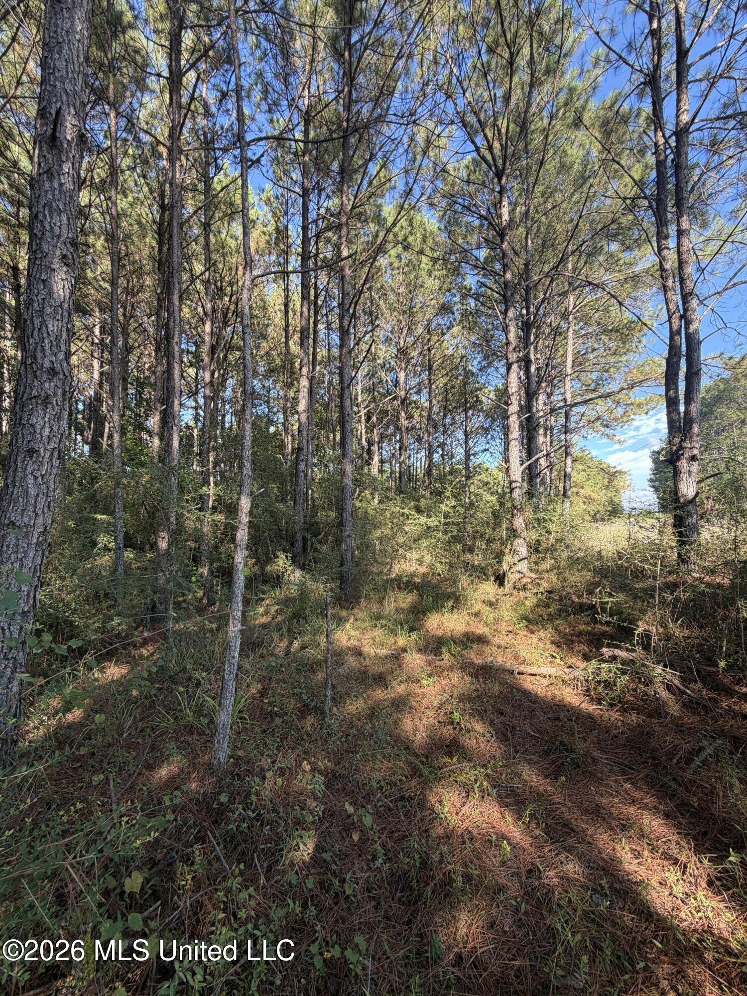 Coons Mill Road Property Photo 10