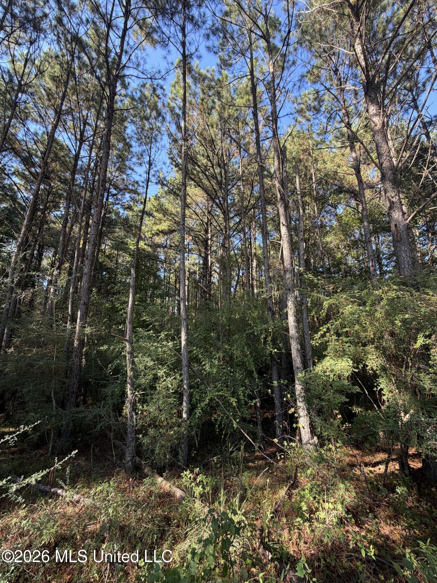Coons Mill Road Property Photo 11