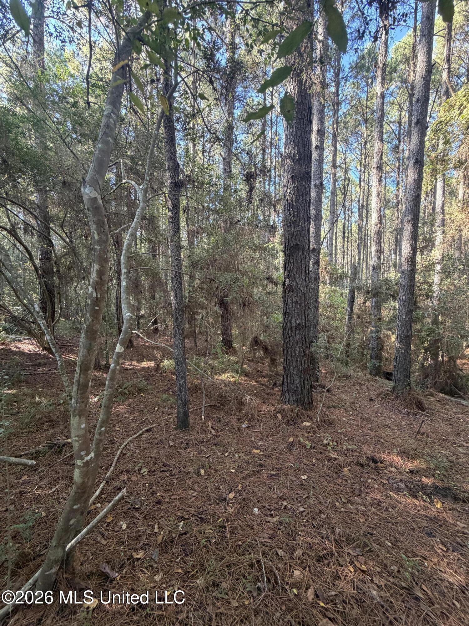 Coons Mill Road Property Photo 12