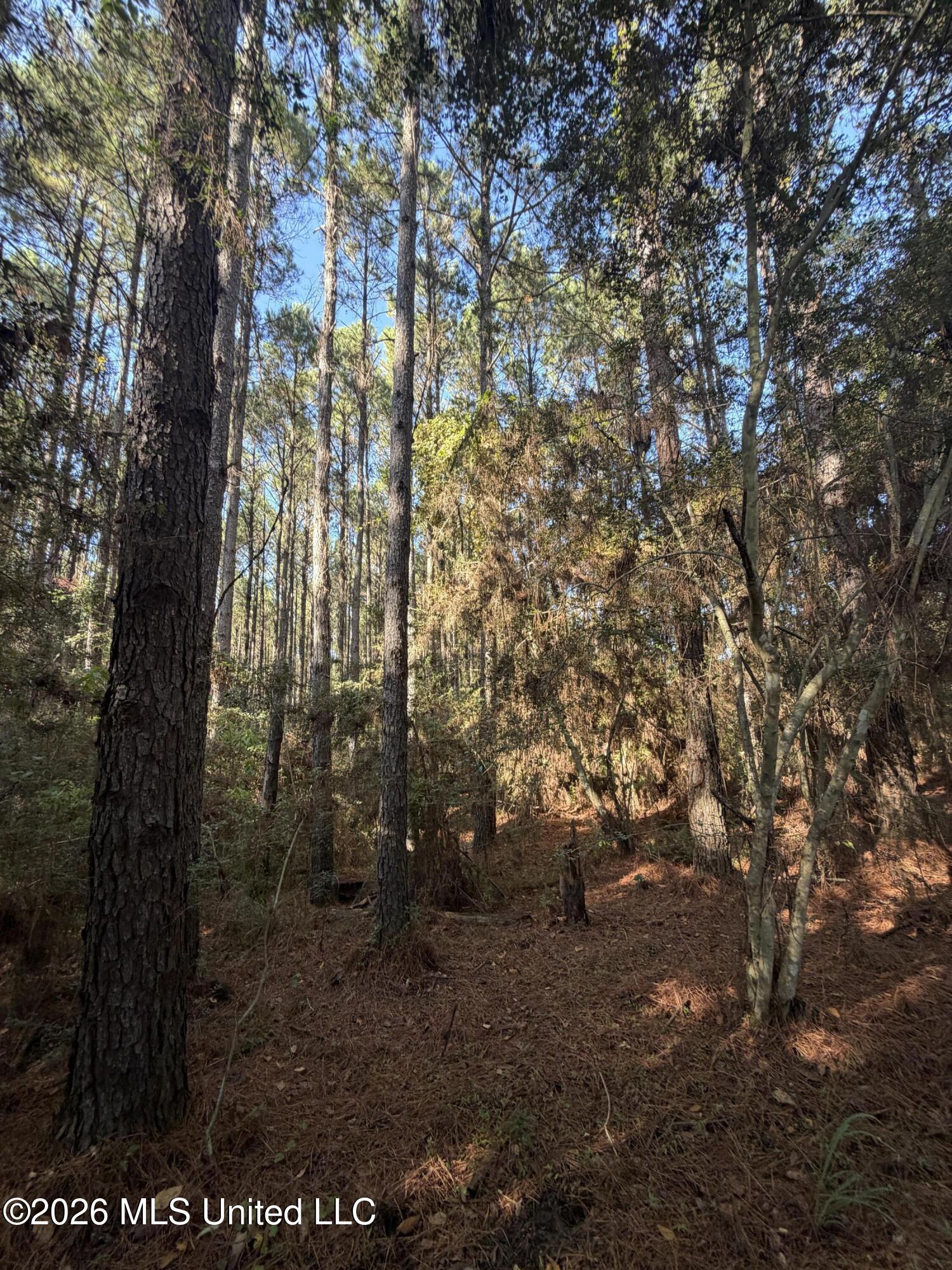 Coons Mill Road Property Photo 13