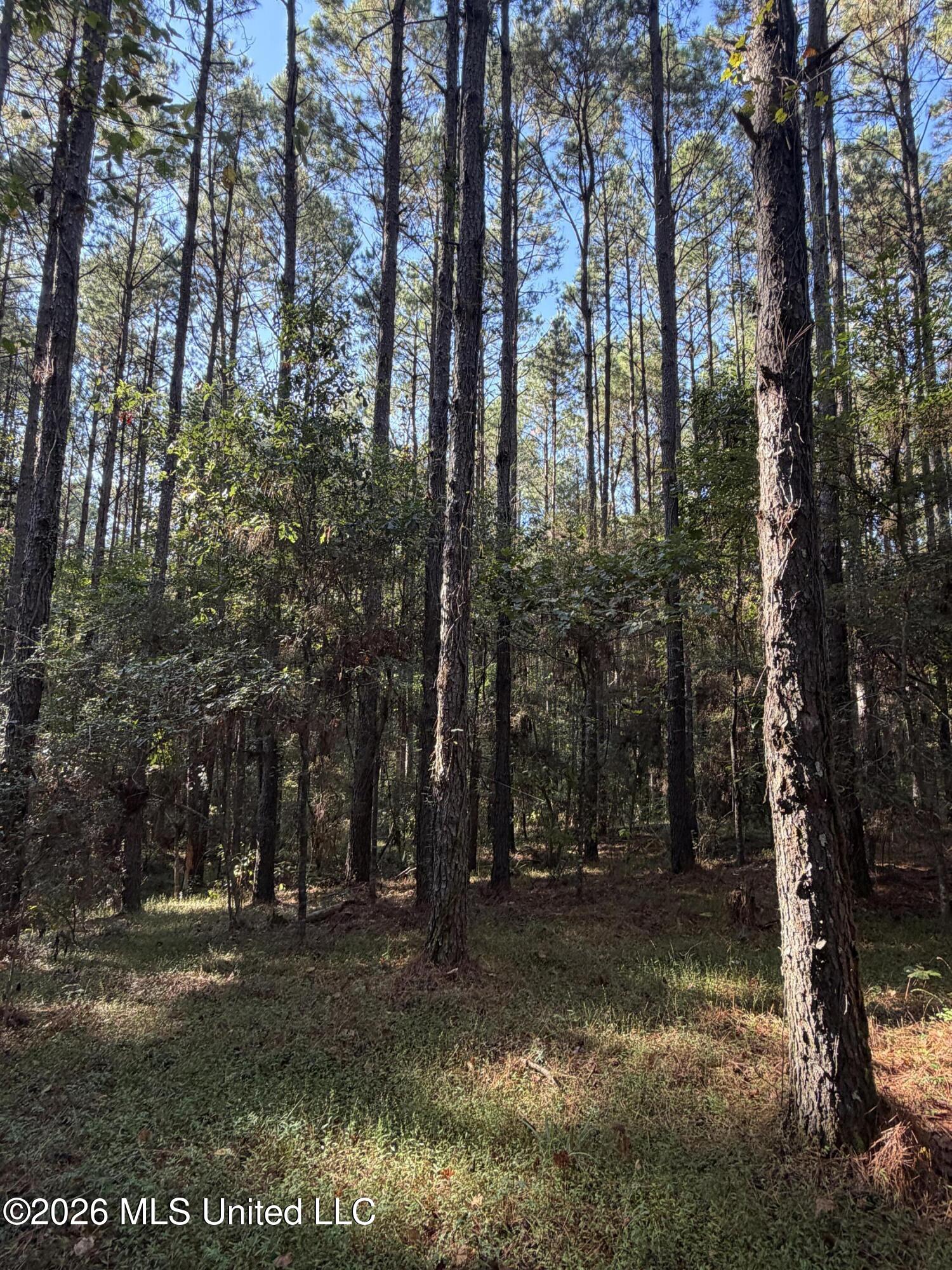 Coons Mill Road Property Photo 14