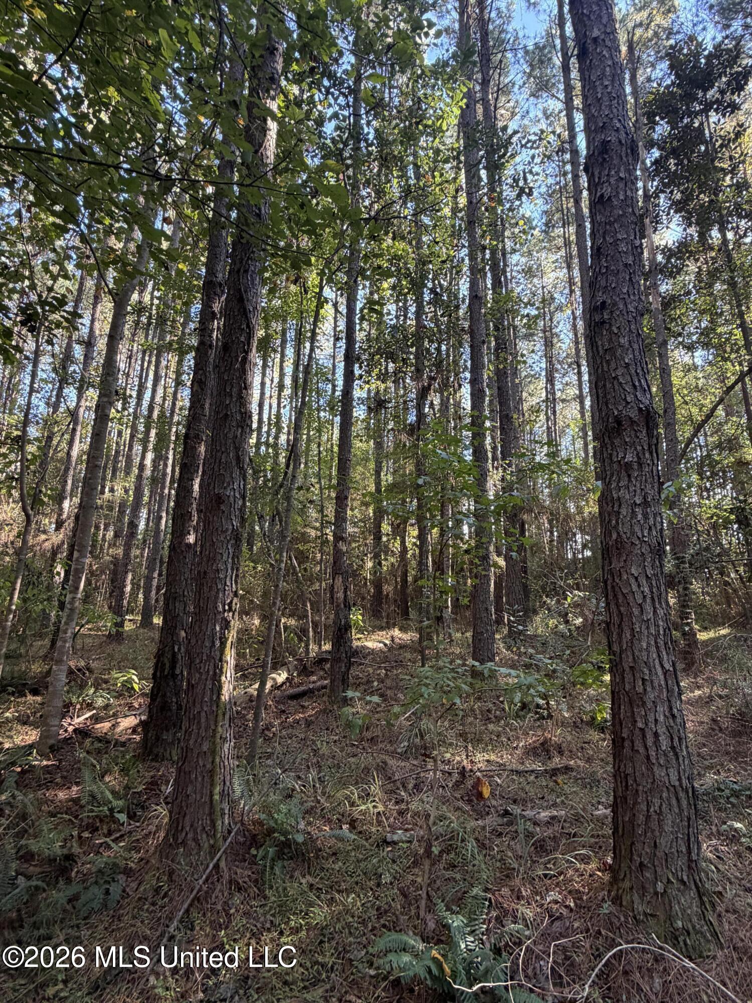 Coons Mill Road Property Photo 15