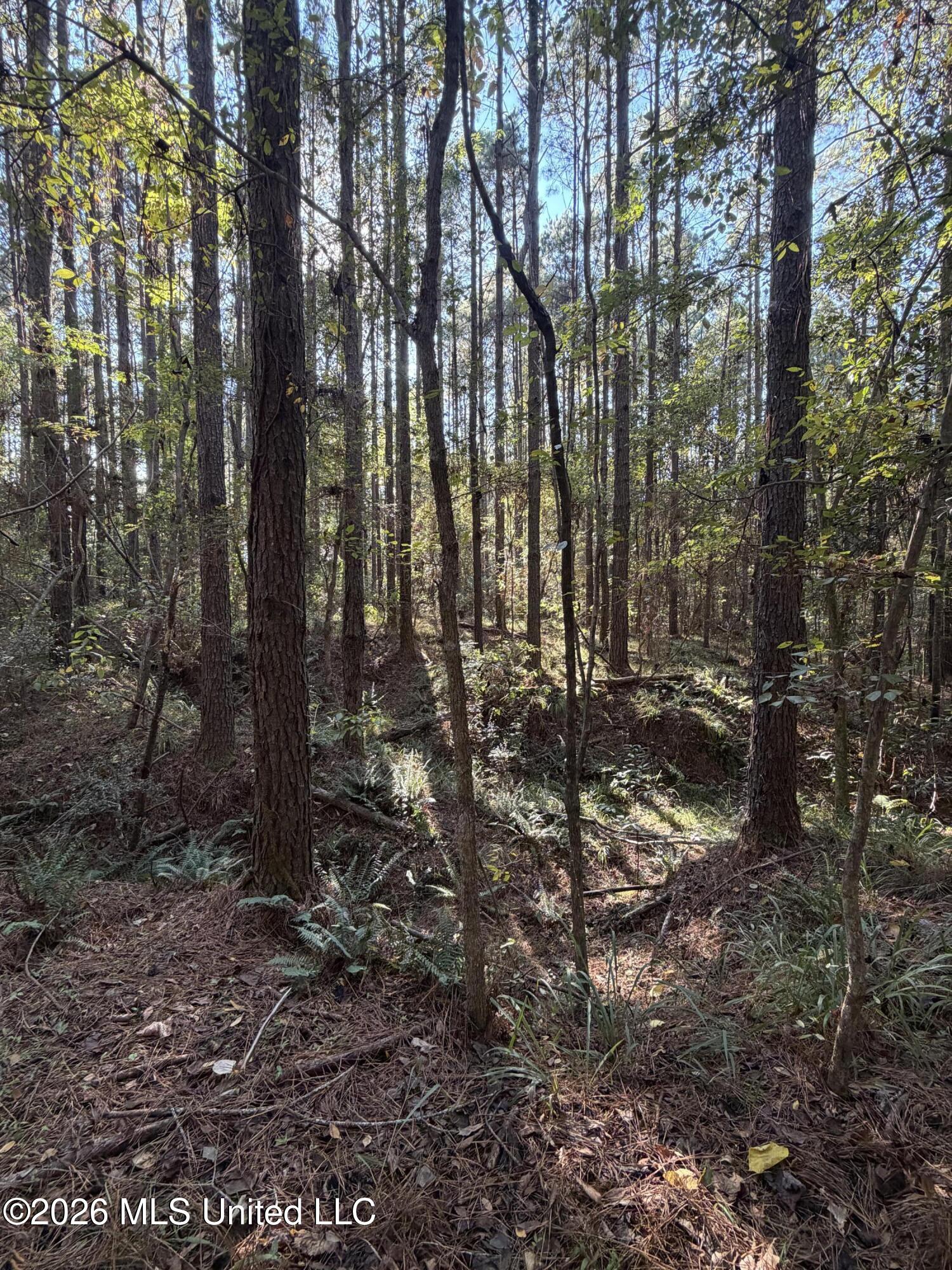 Coons Mill Road Property Photo 16