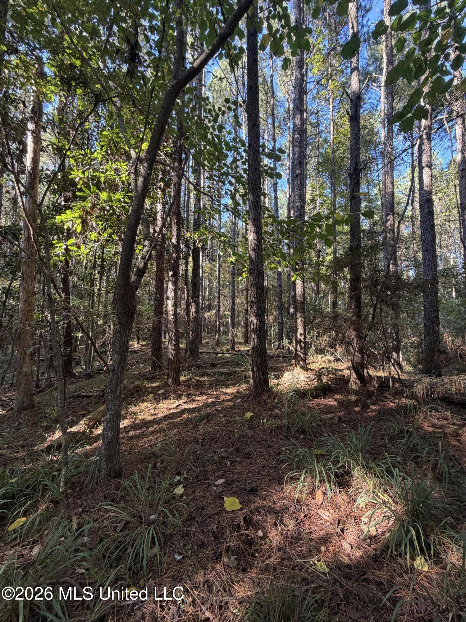Coons Mill Road Property Photo 17