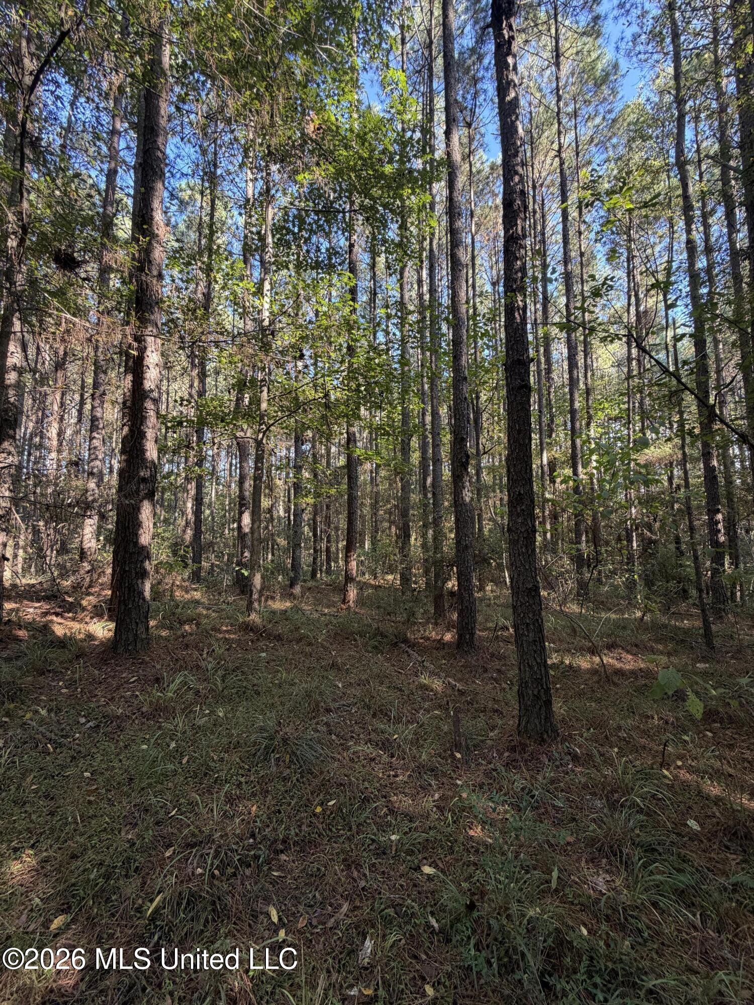 Coons Mill Road Property Photo 18