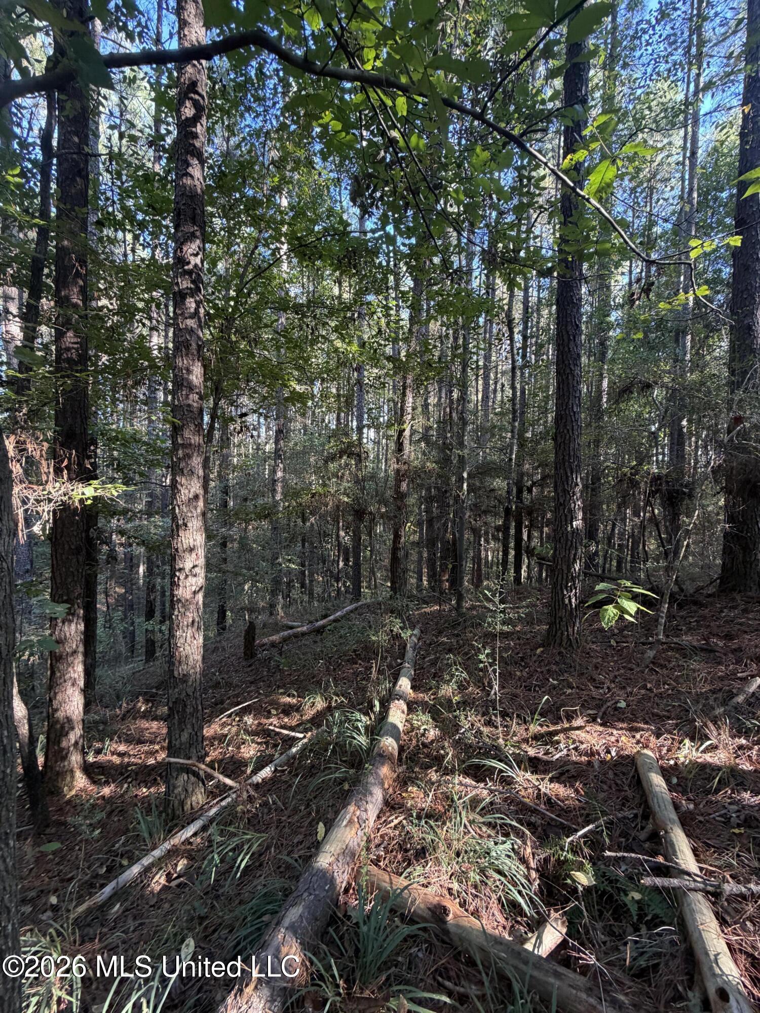 Coons Mill Road Property Photo 19