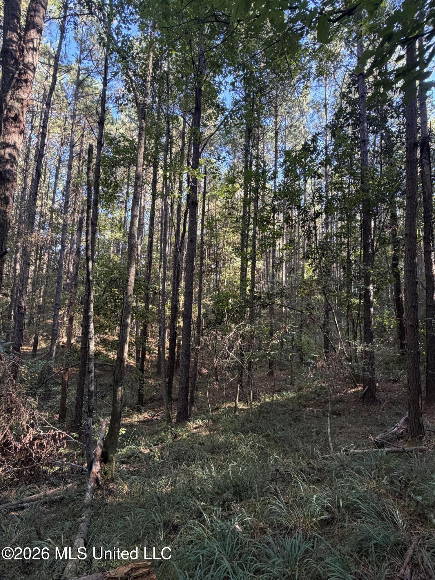 Coons Mill Road Property Photo 20
