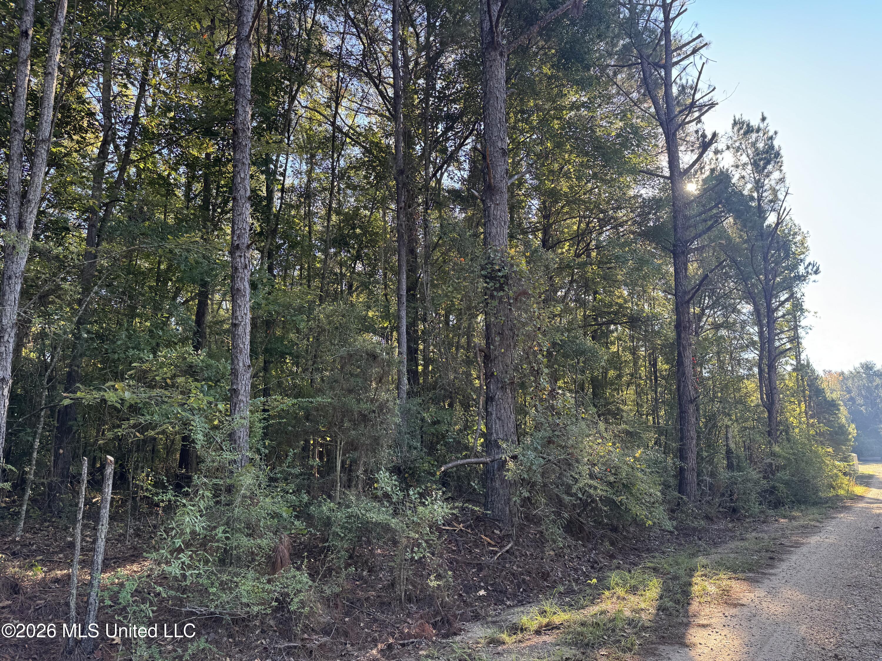 1020 Robert Jones Road Property Photo 3