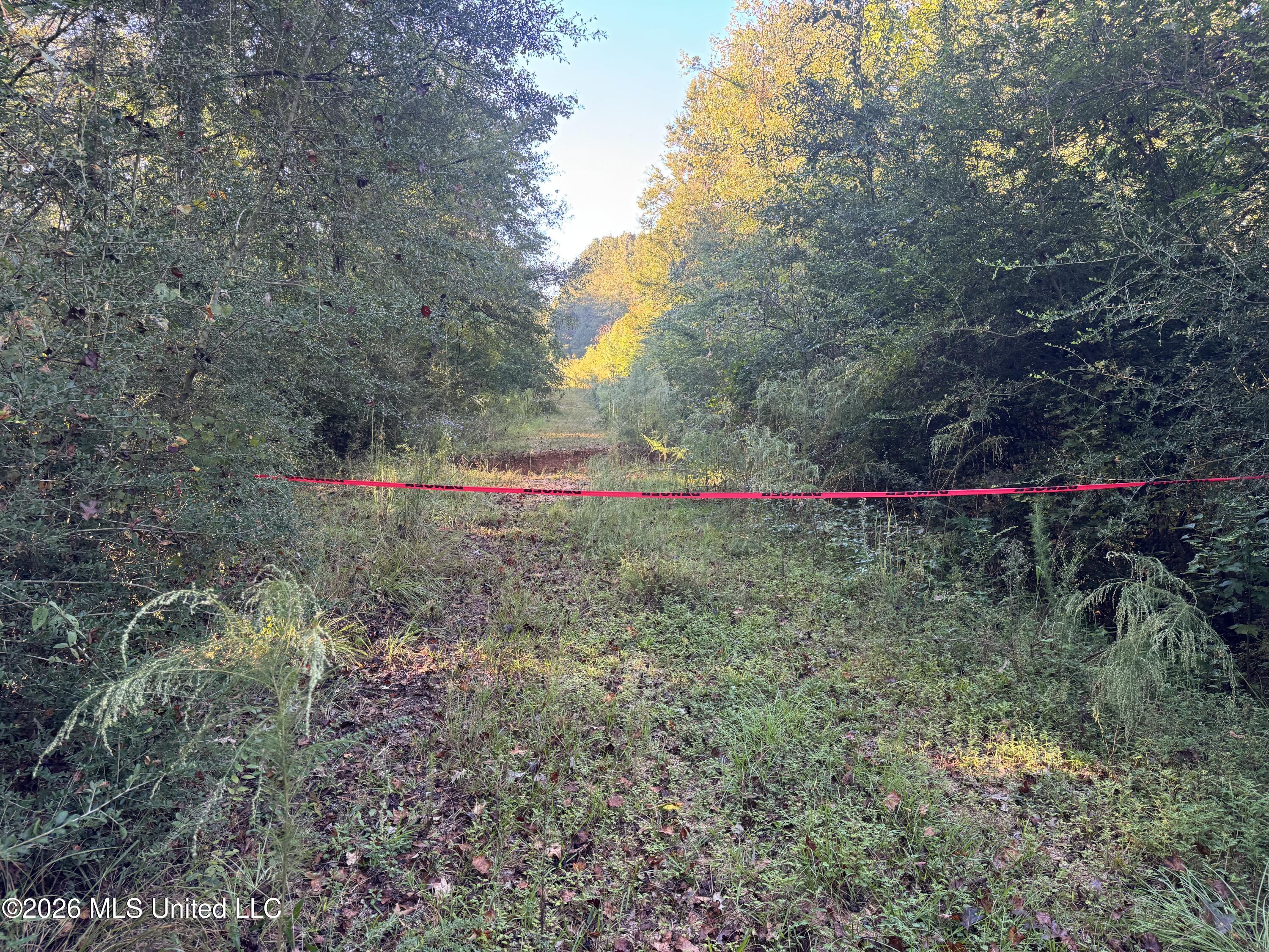 1020 Robert Jones Road Property Photo 6