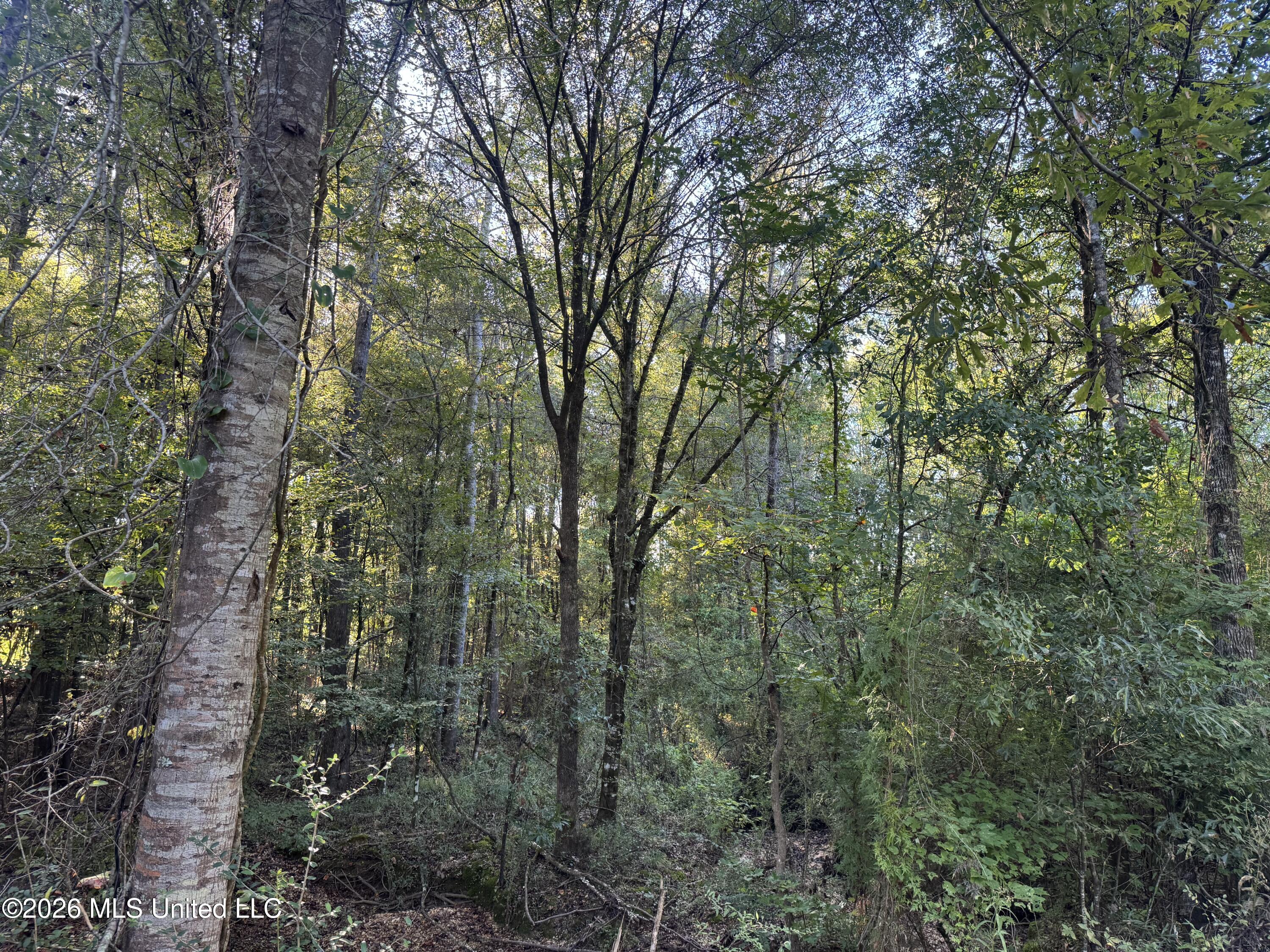 1020 Robert Jones Road Property Photo 9