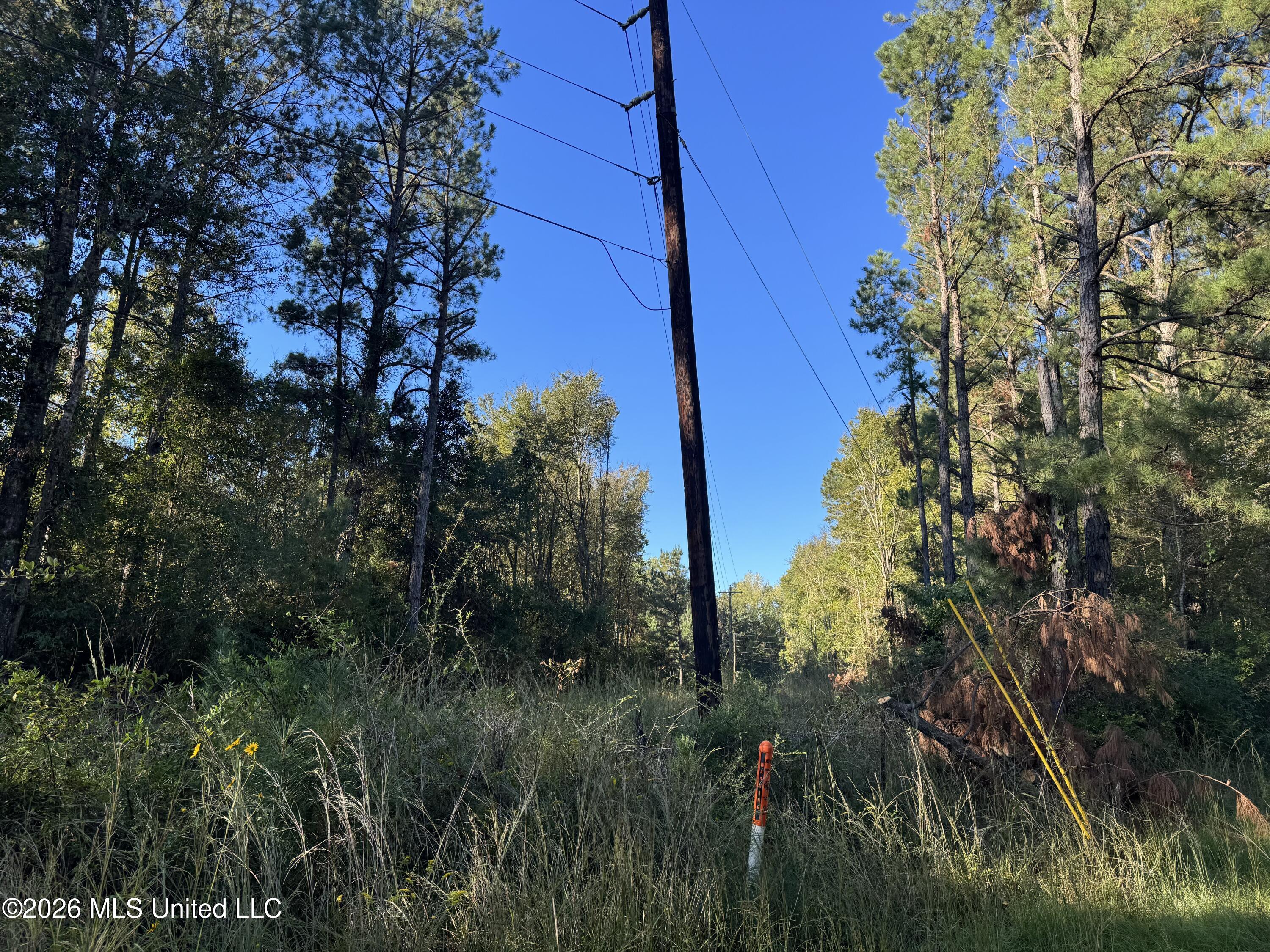 1020 Robert Jones Road Property Photo 11