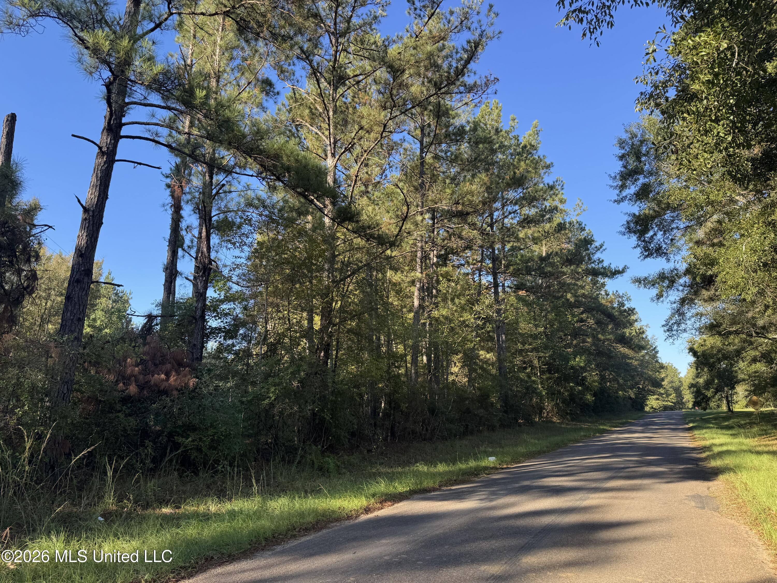 1020 Robert Jones Road Property Photo 12