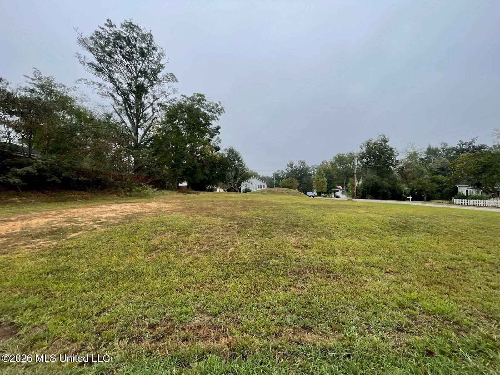W Meiggs Street Property Photo 2