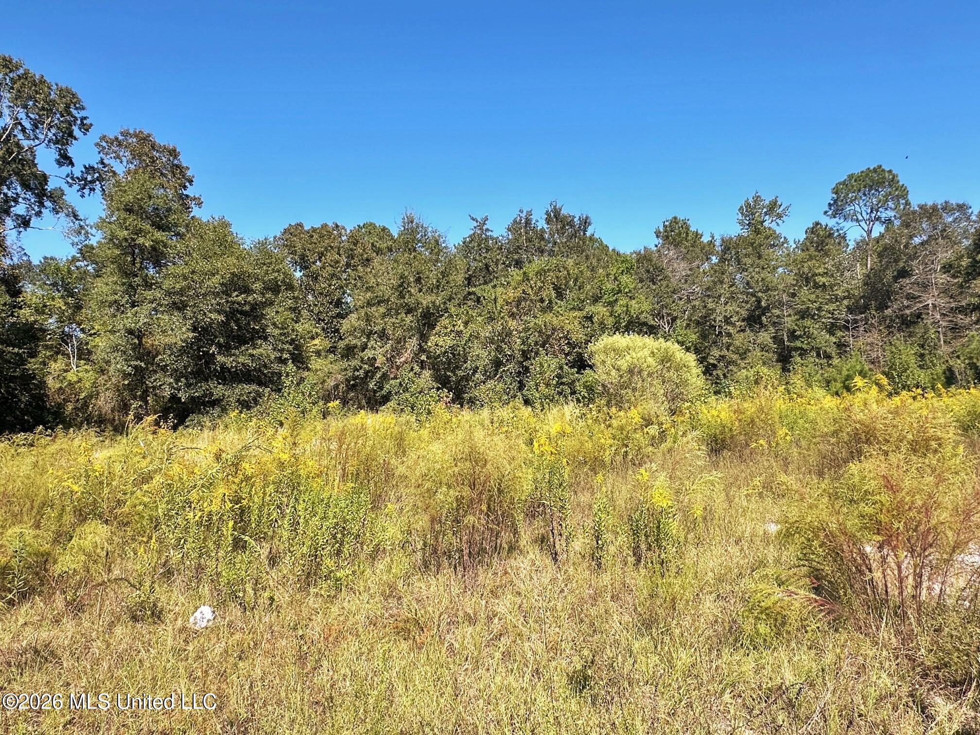 1ac Highway 198 Property Photo 7