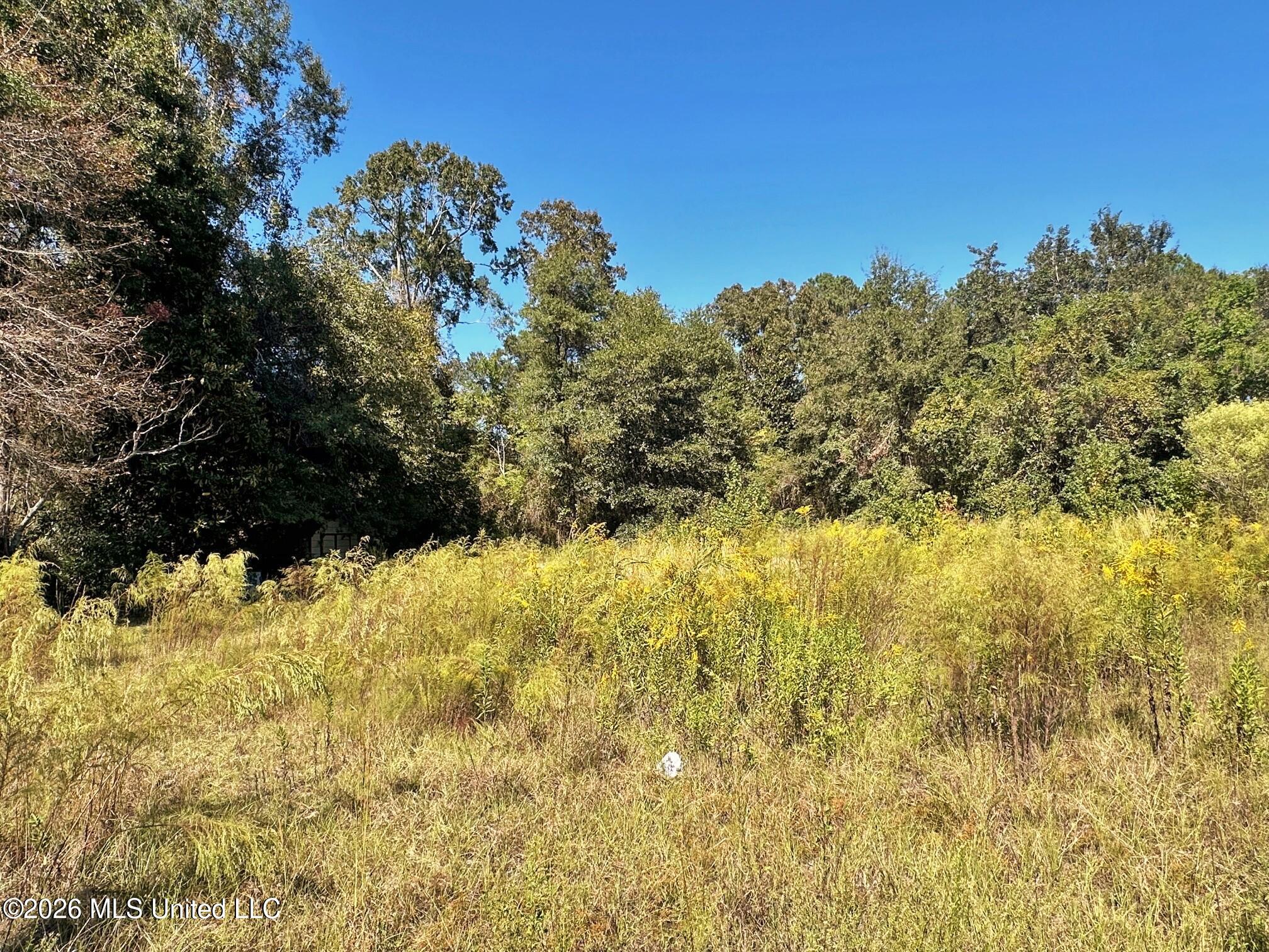 1ac Highway 198 Property Photo 8