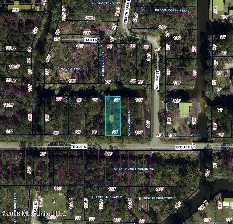 Trout Street Property Photo 1