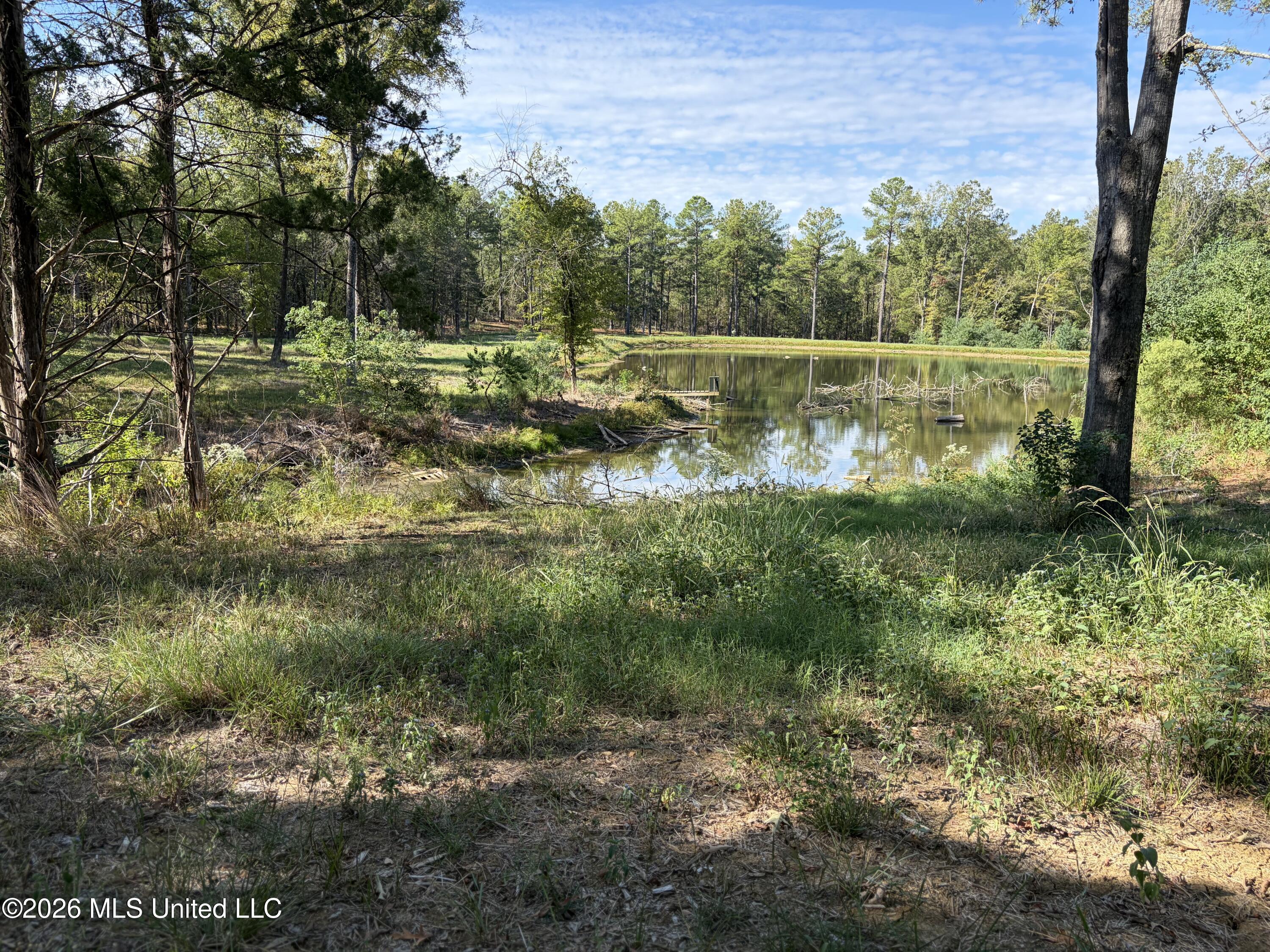 271 Tisdale Road Property Photo 11