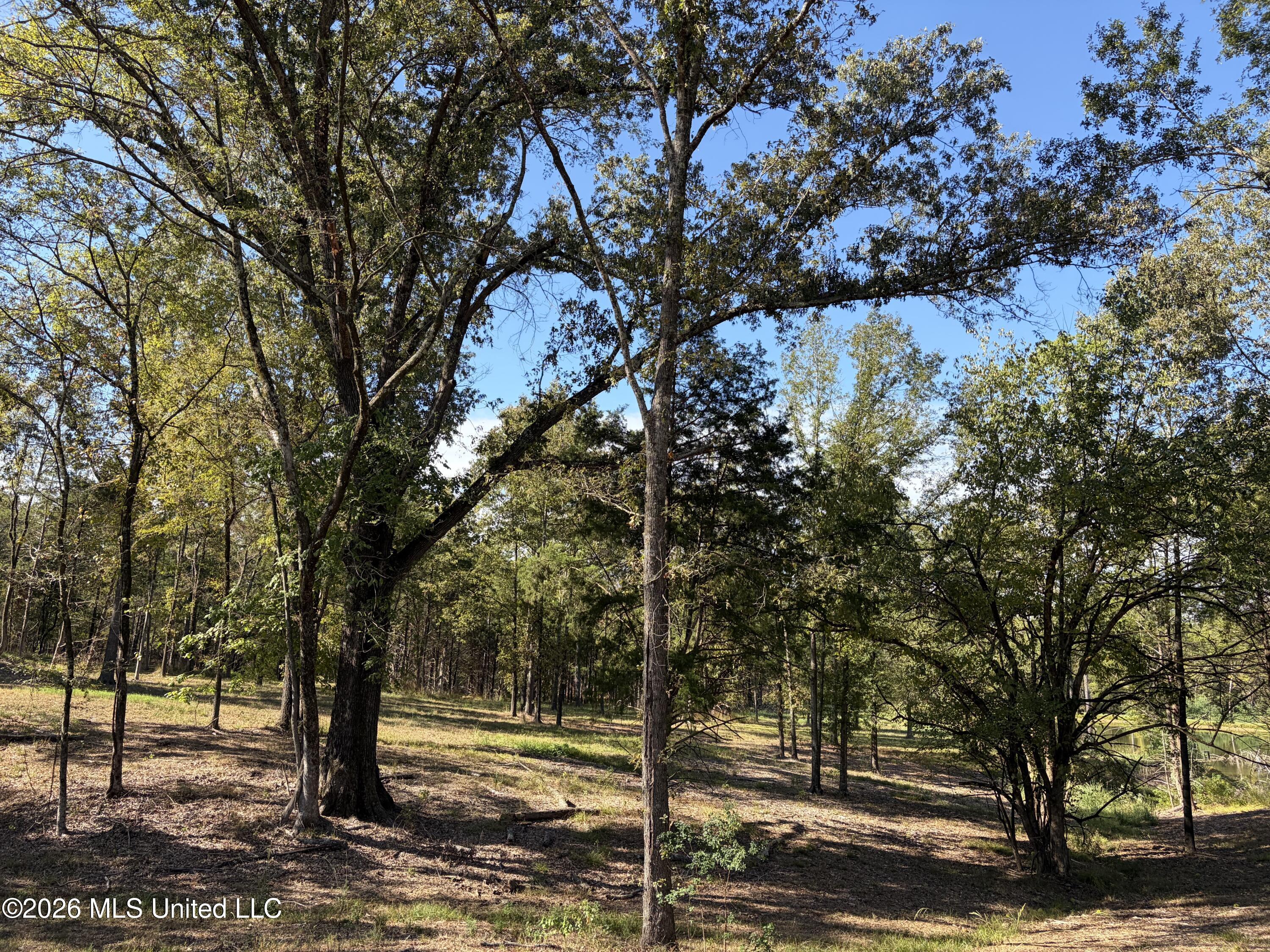 271 Tisdale Road Property Photo 15